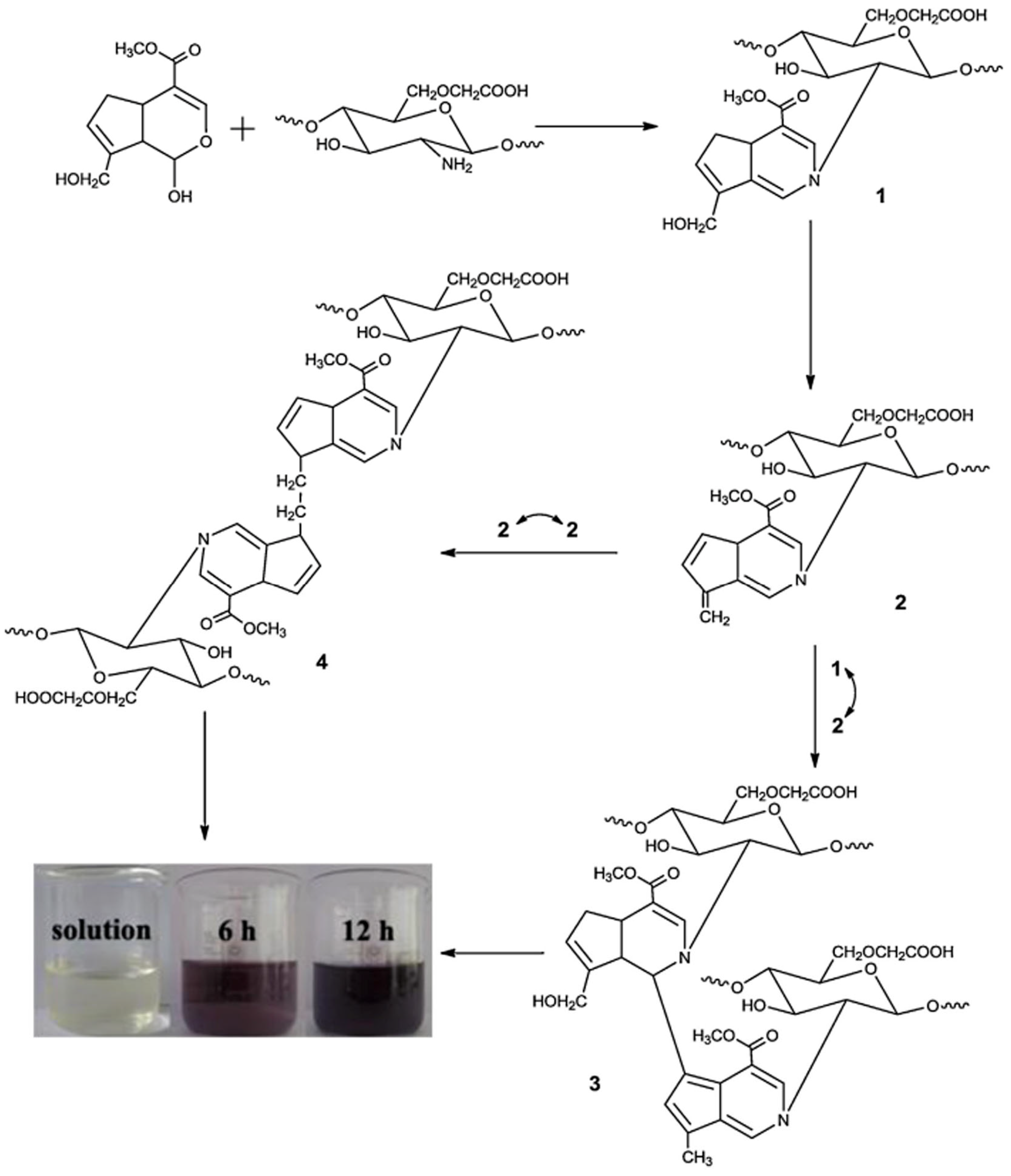 Pharmaceuticals 16 00776 g003