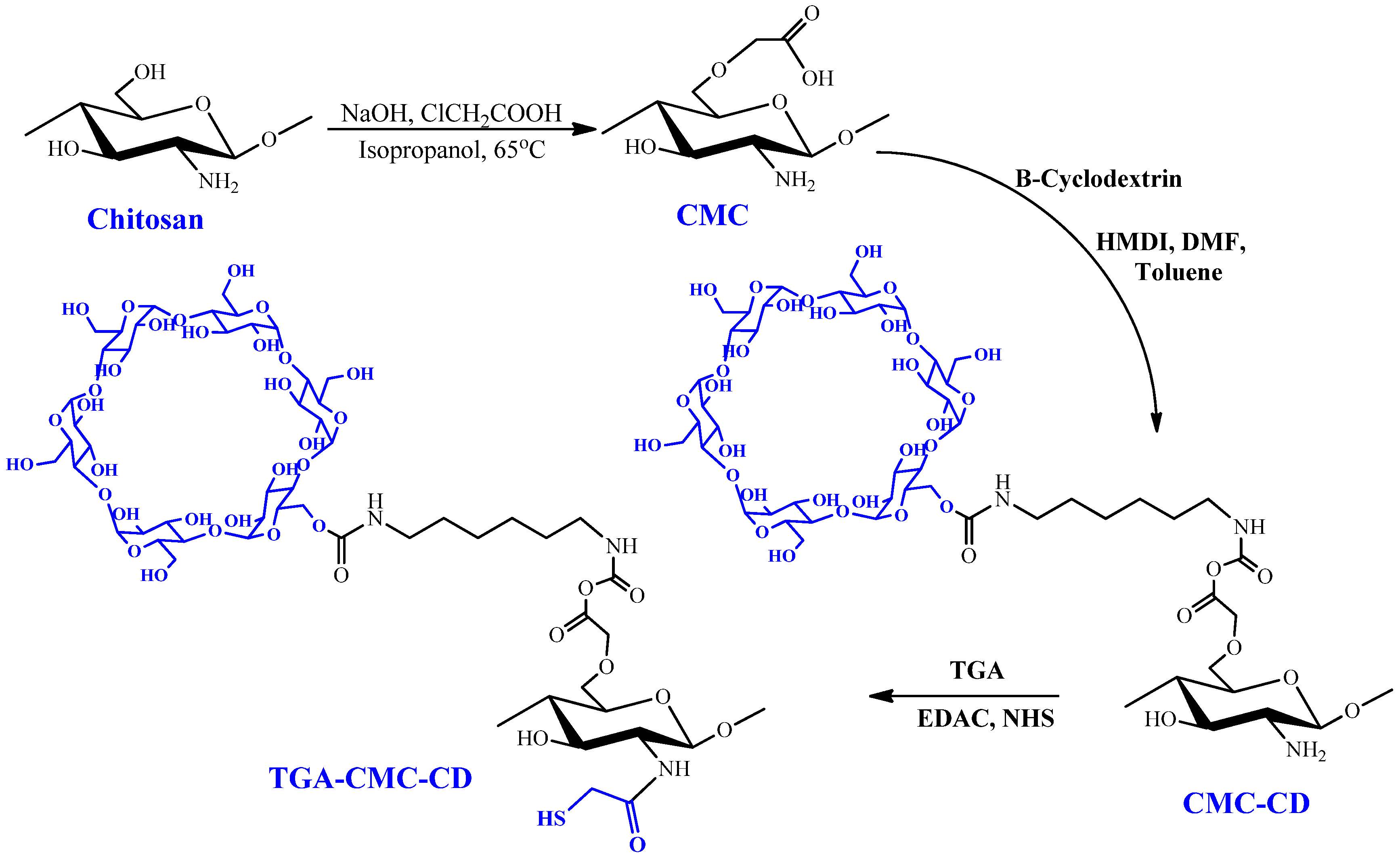 Pharmaceuticals 16 00776 g005