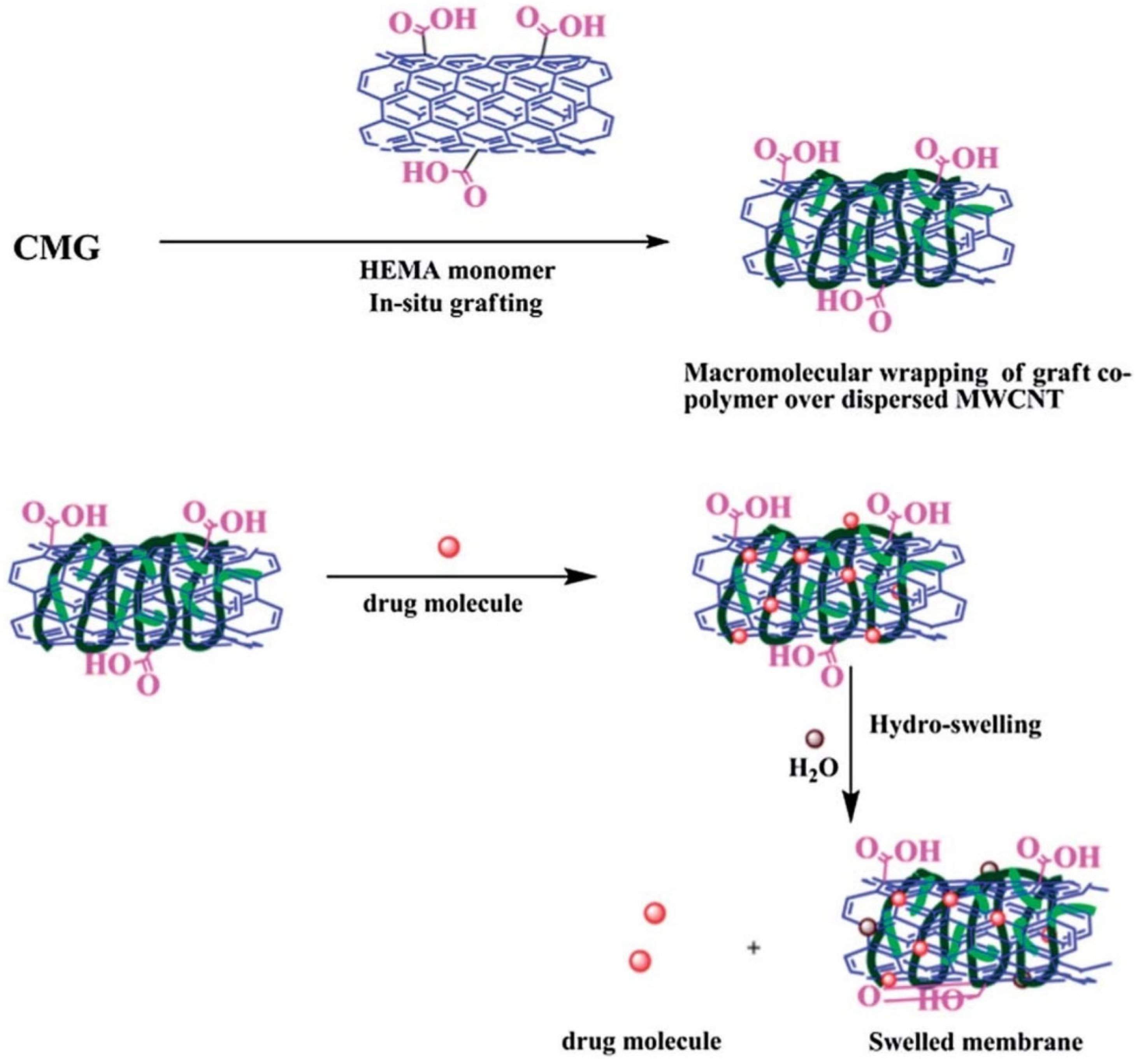 Pharmaceuticals 16 00776 g006