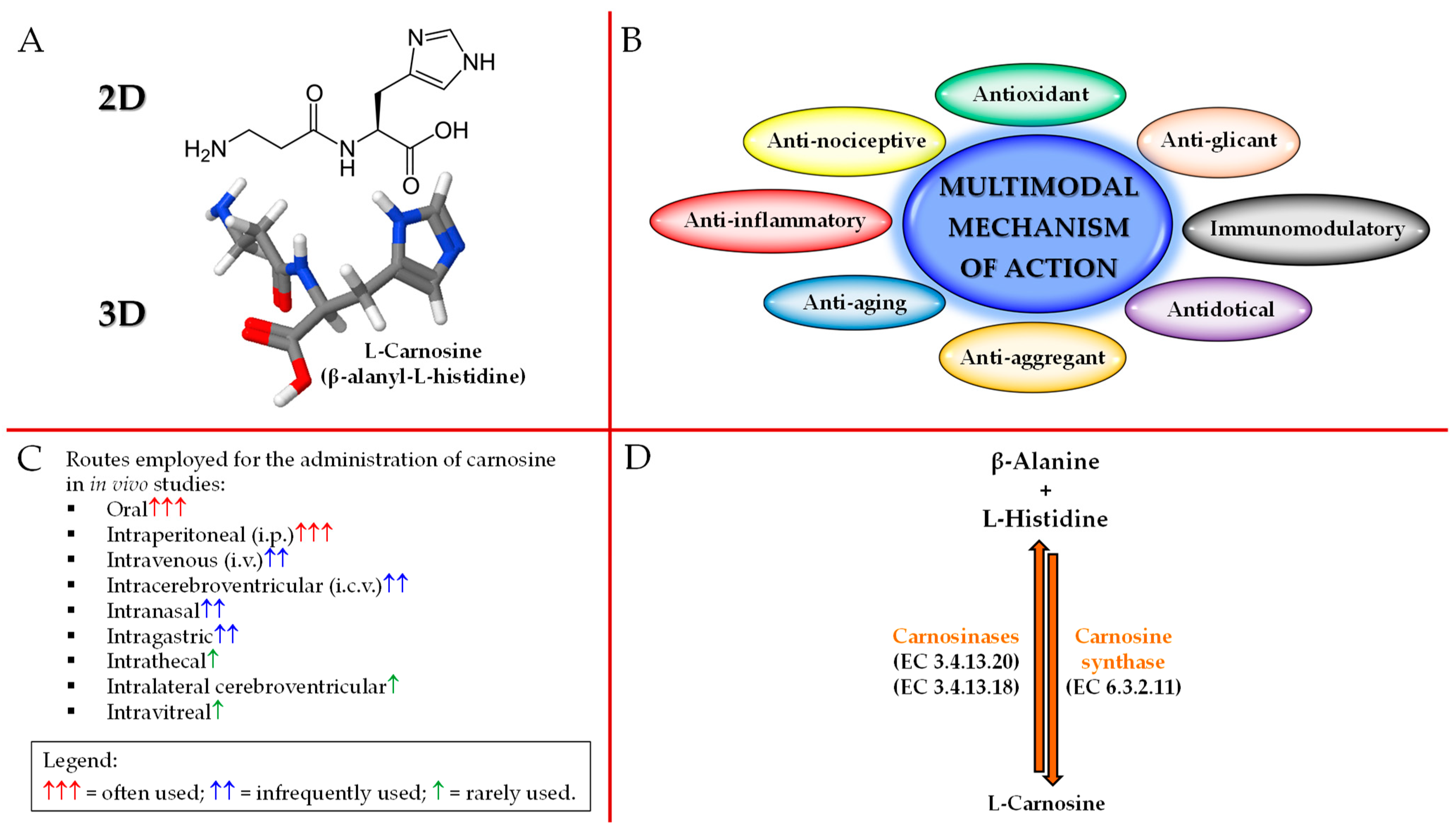 Pharmaceuticals 16 00778 g001