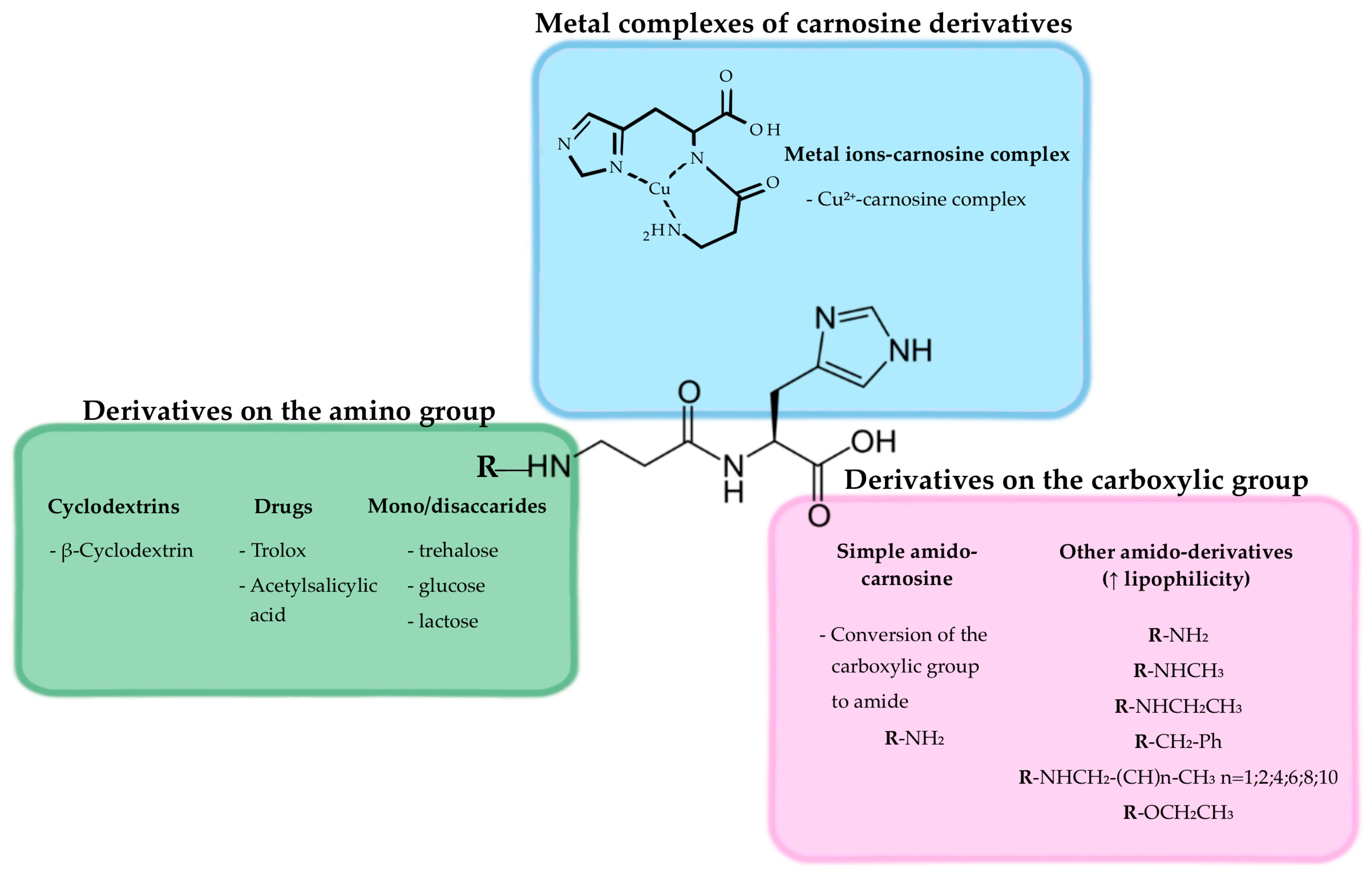 Pharmaceuticals 16 00778 g006