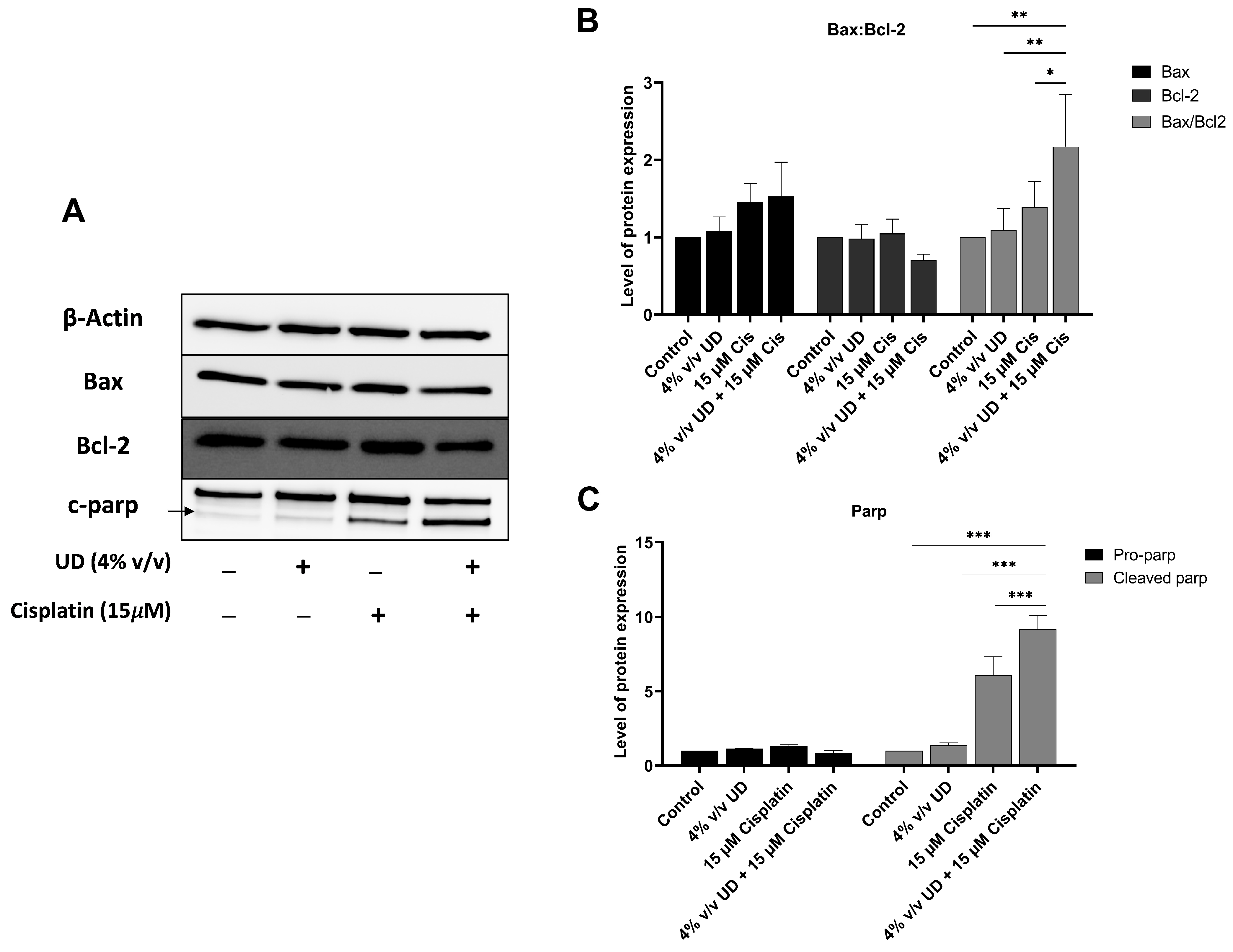 Pharmaceuticals 16 00780 g004 Pharmaceuticals 16 00780 g004