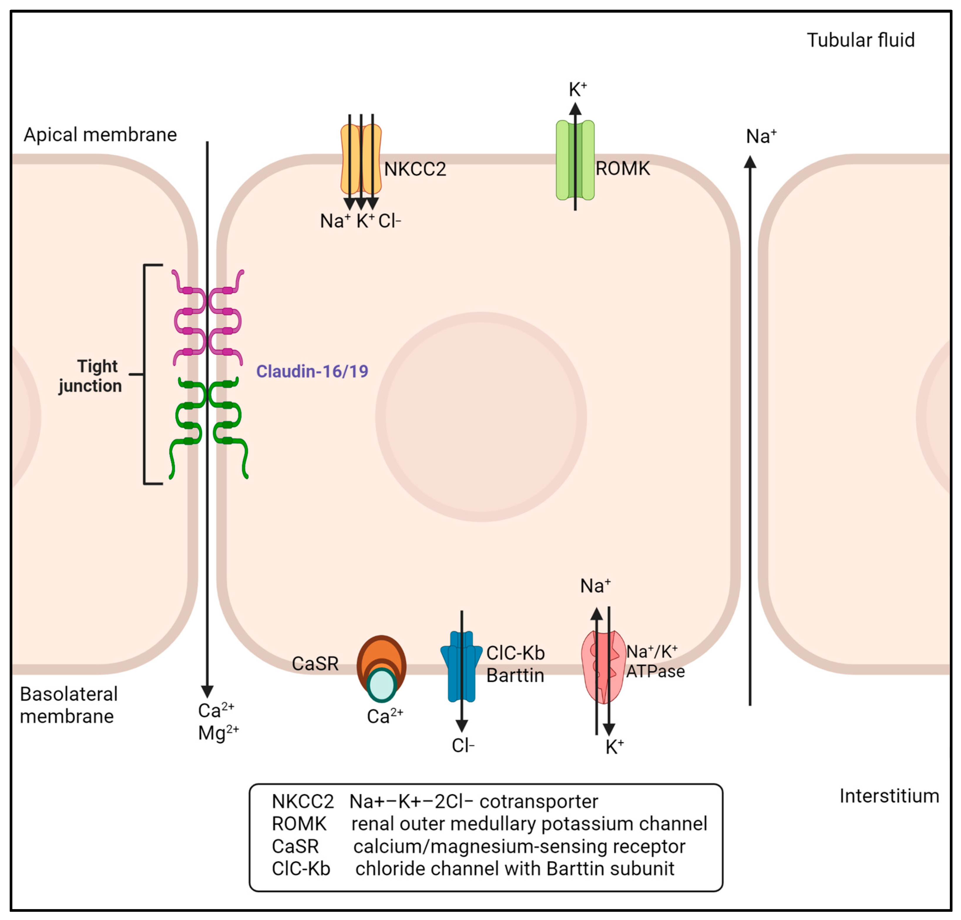 Pharmaceuticals 16 00785 g001