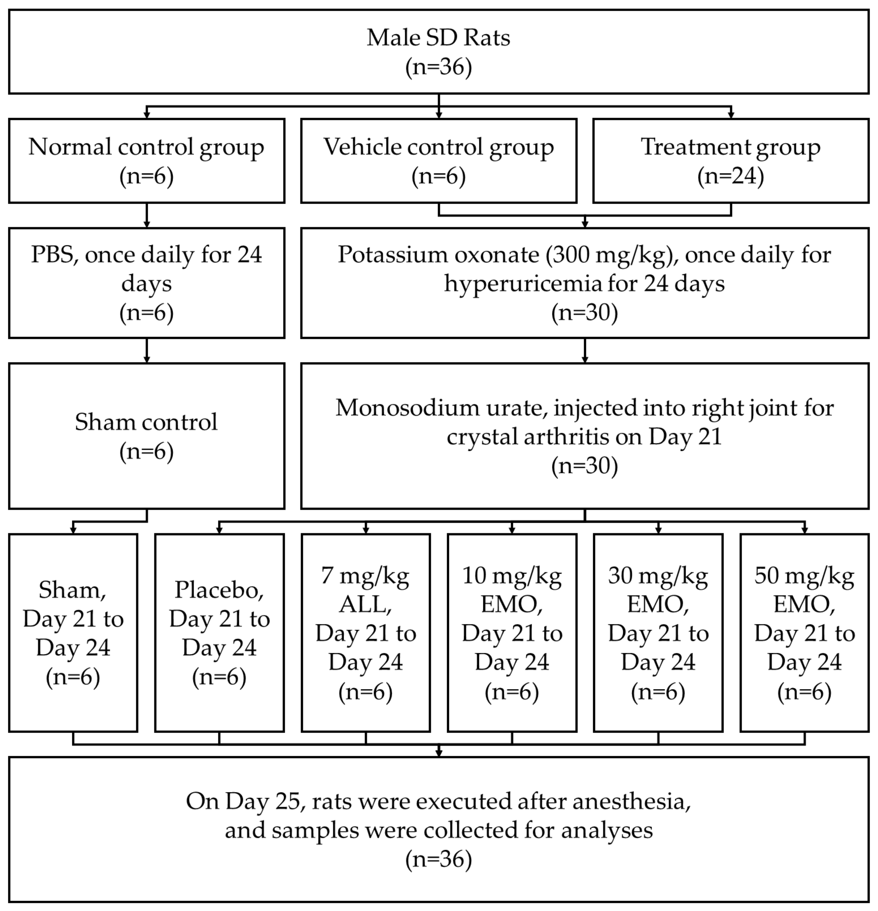 Pharmaceuticals 16 00789 g001