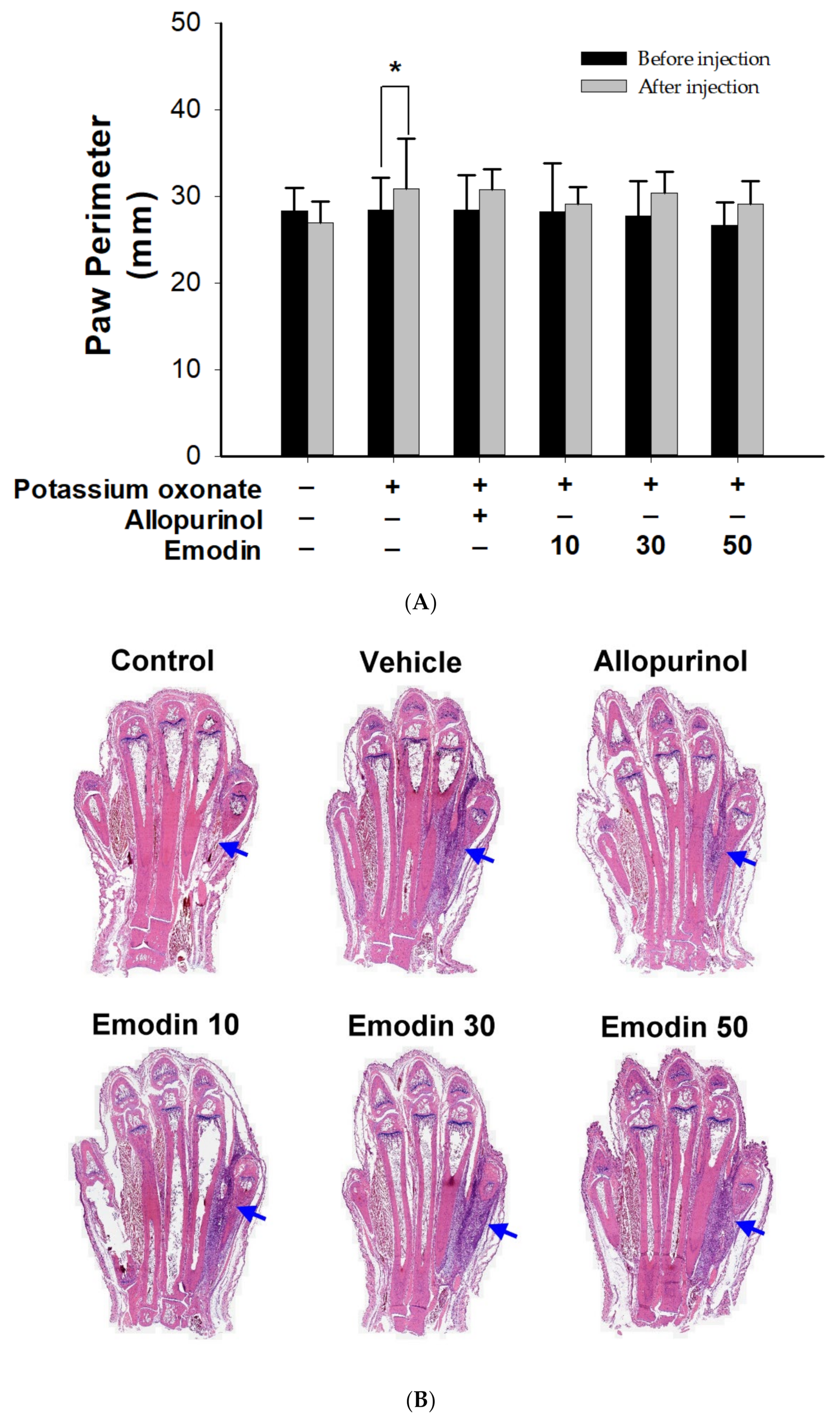 Pharmaceuticals 16 00789 g003