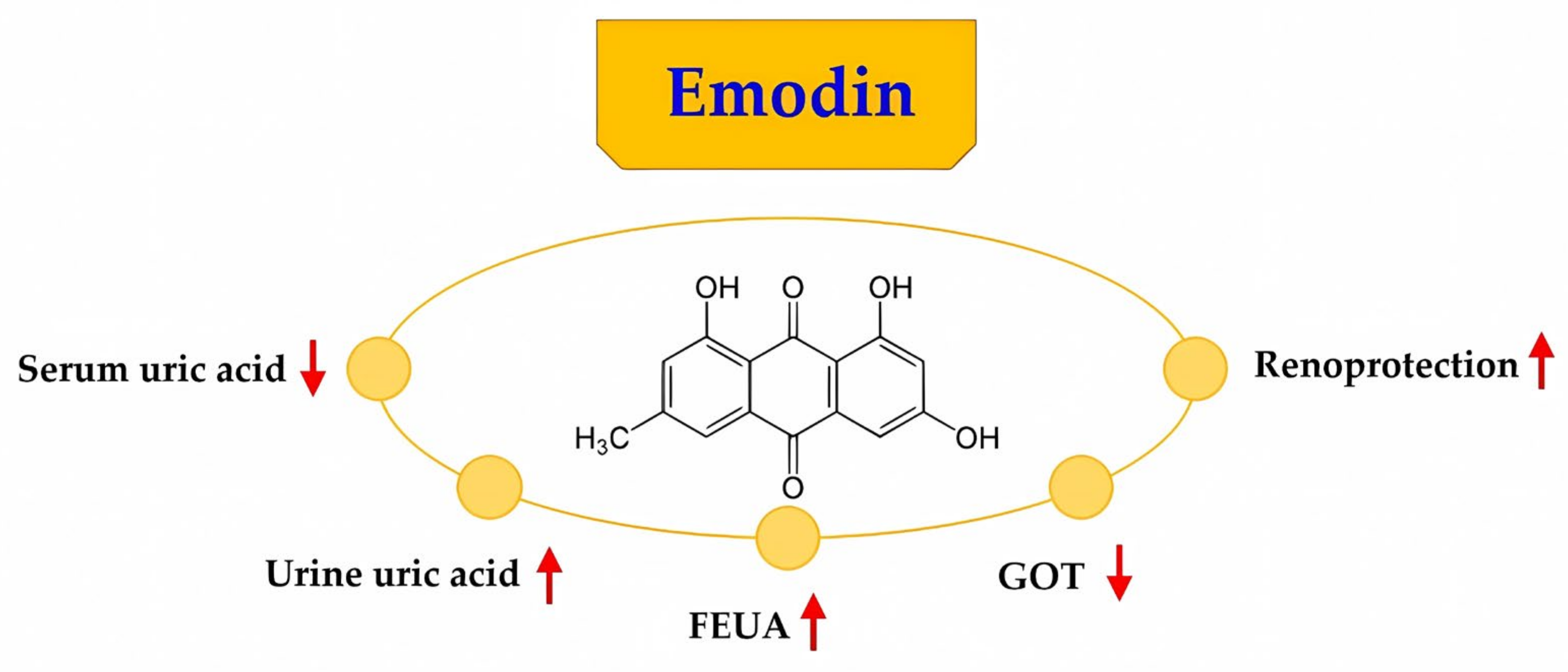 Pharmaceuticals 16 00789 g005