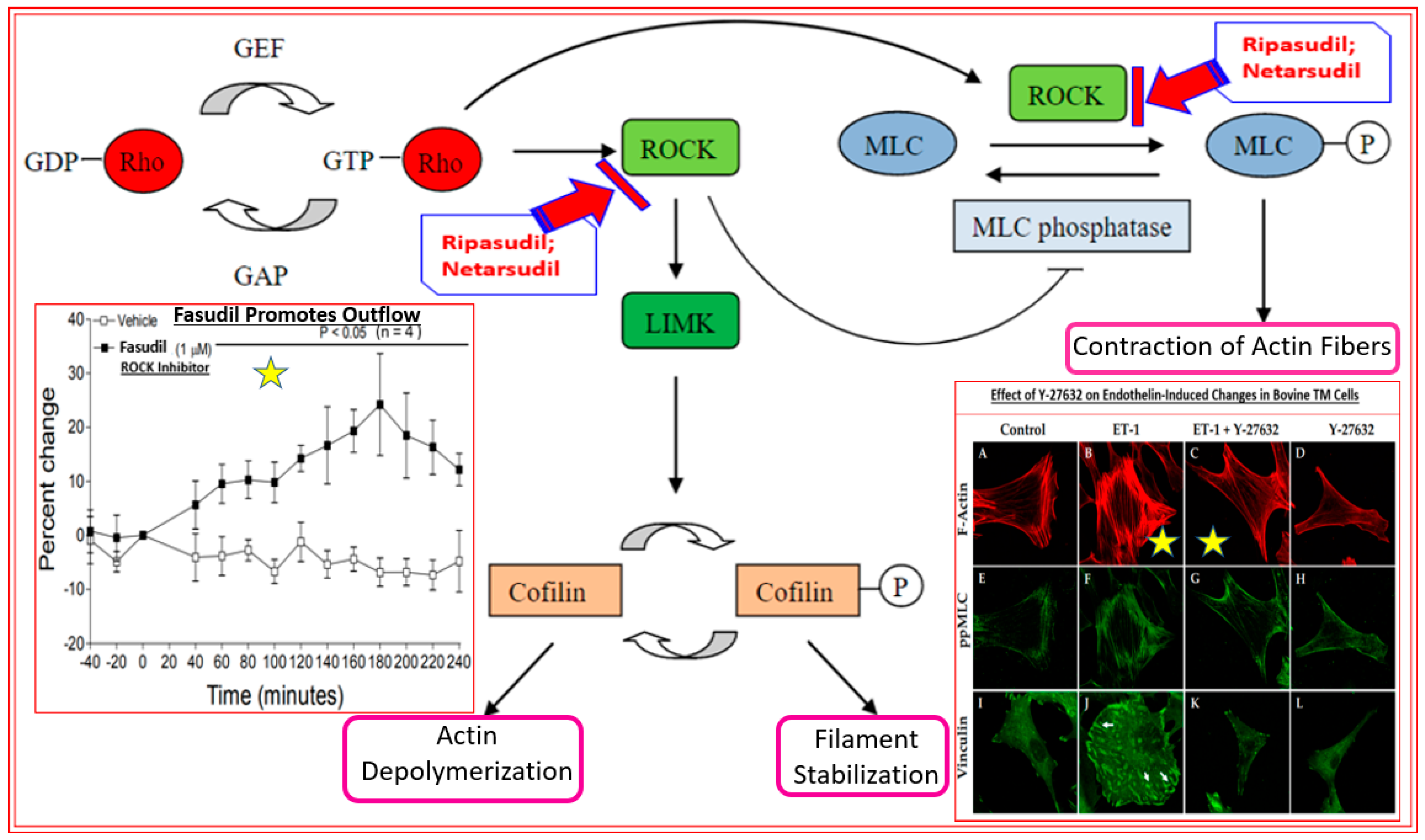 Pharmaceuticals 16 00791 g005