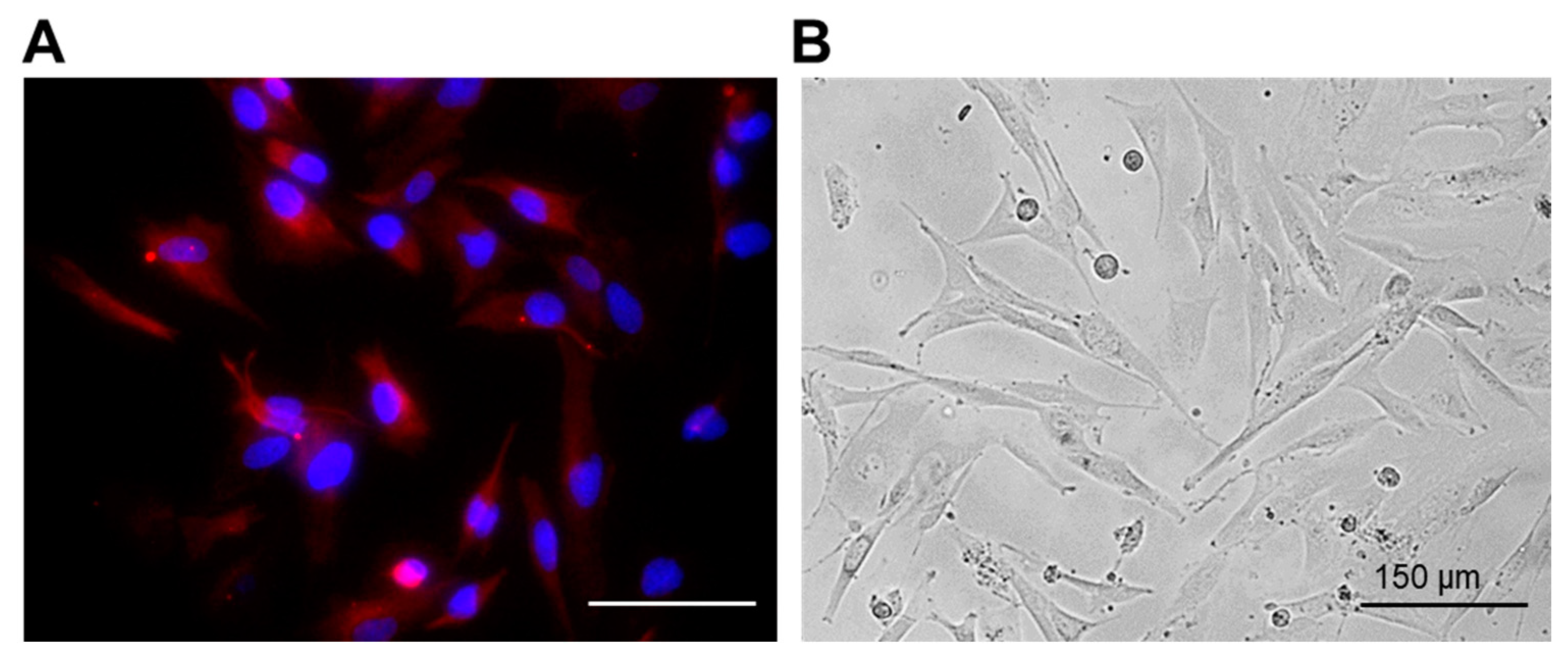 Pharmaceuticals 16 00796 g001