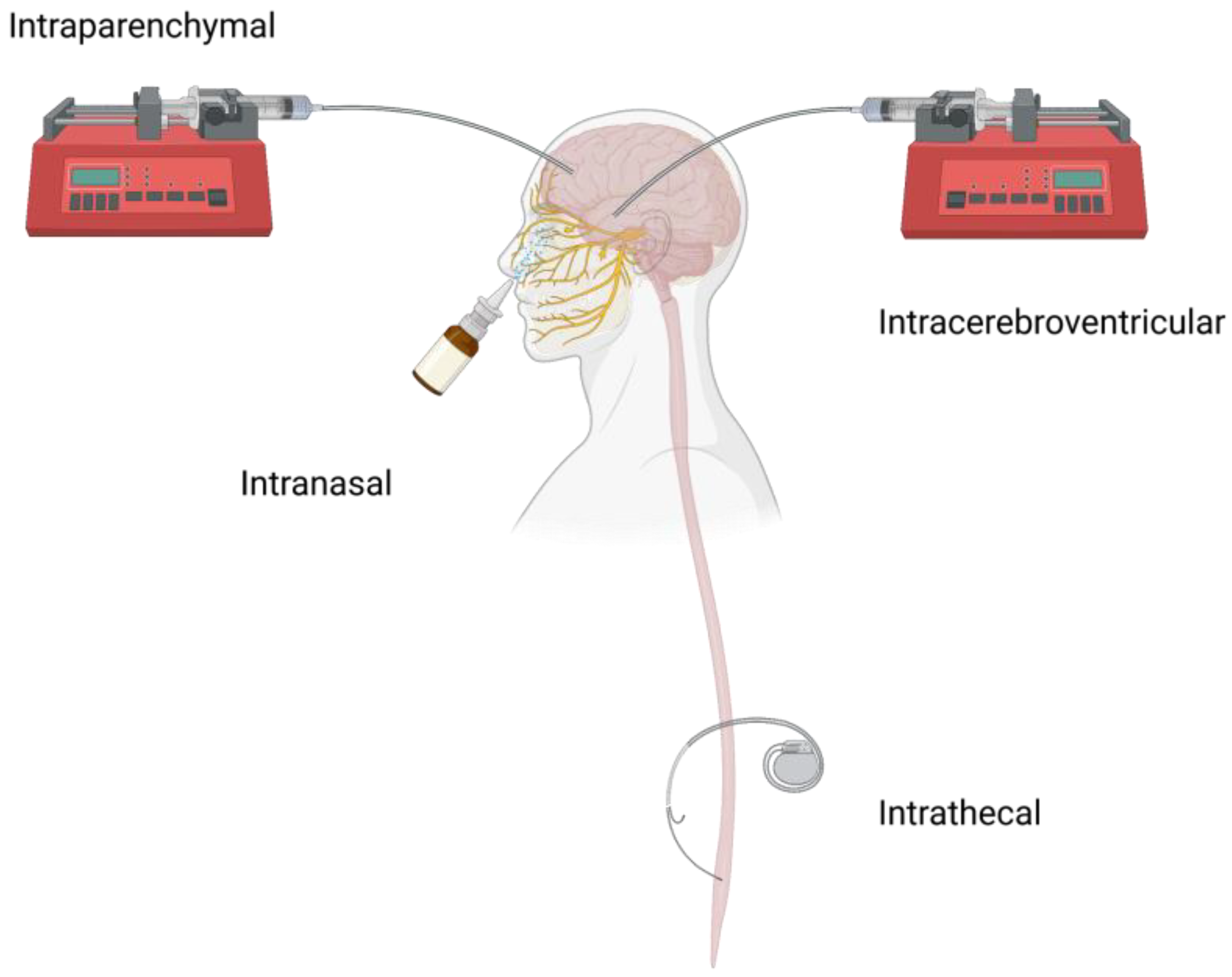 Pharmaceuticals 16 00810 g001