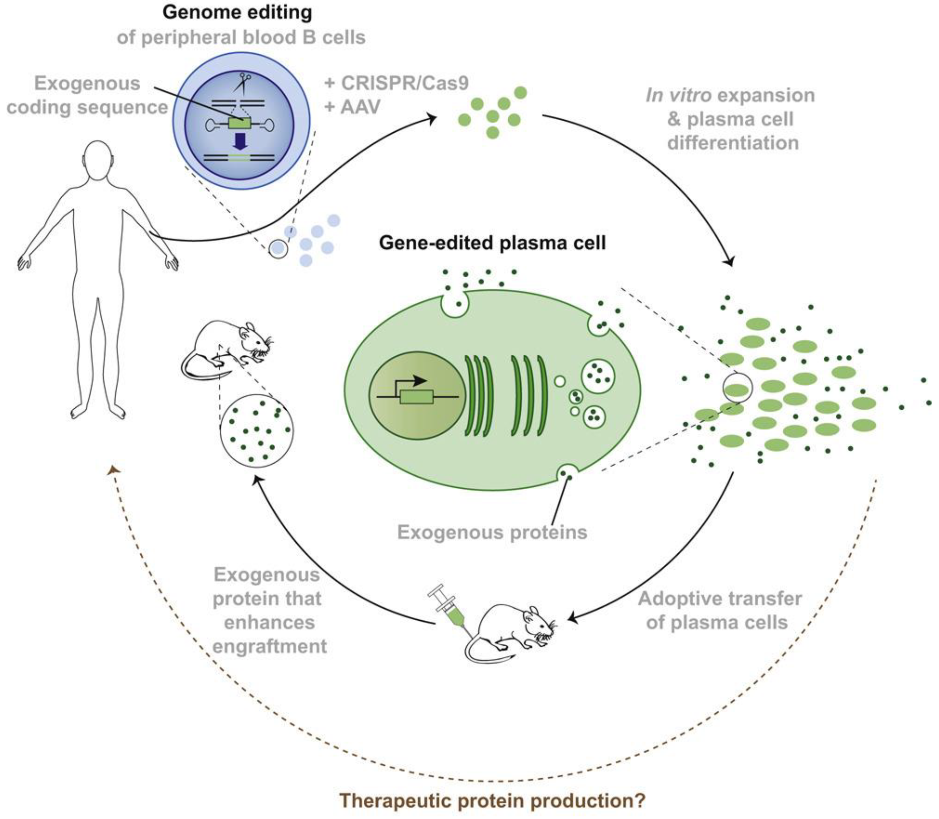 Pharmaceuticals 16 00810 g004