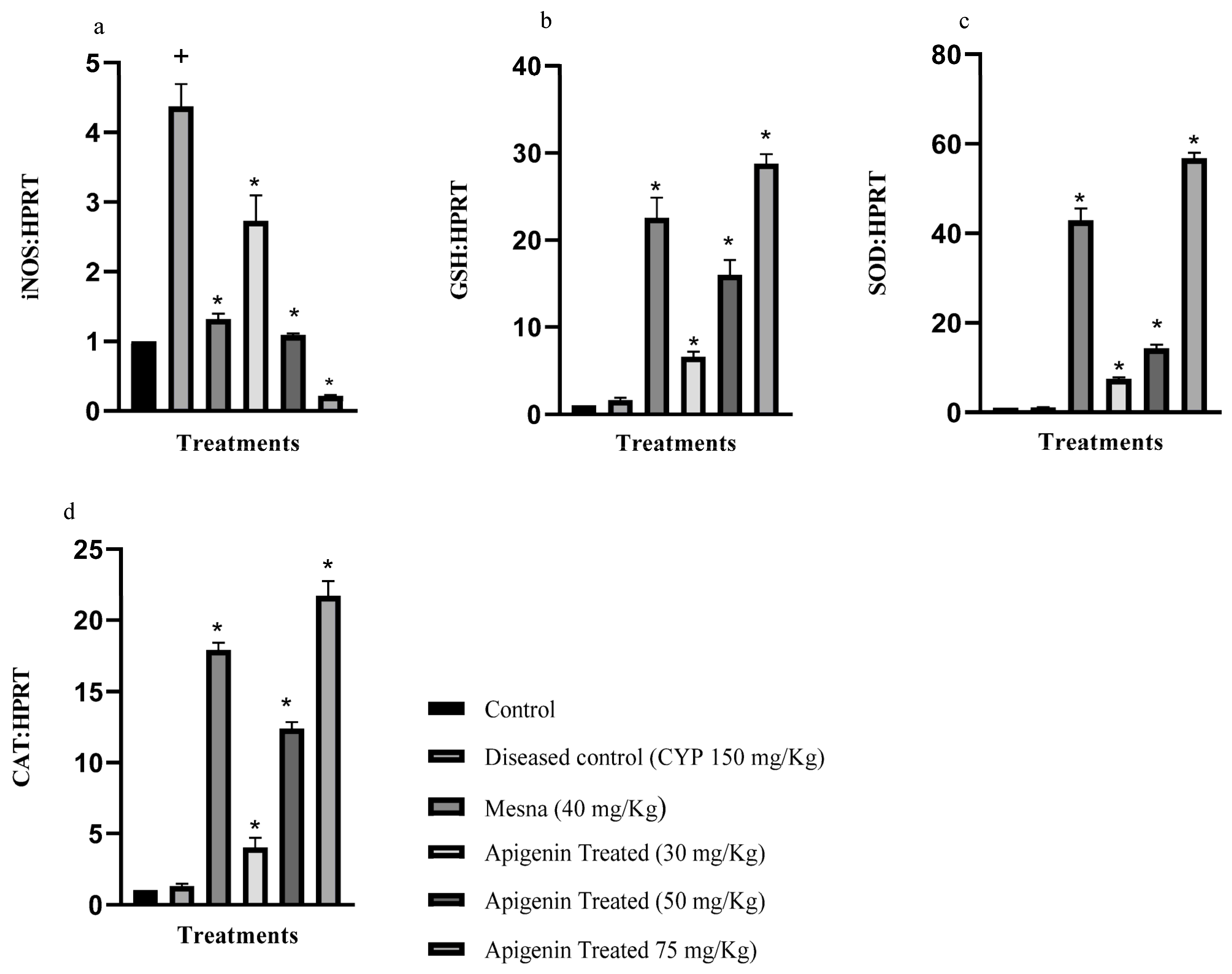 Pharmaceuticals 16 00811 g001