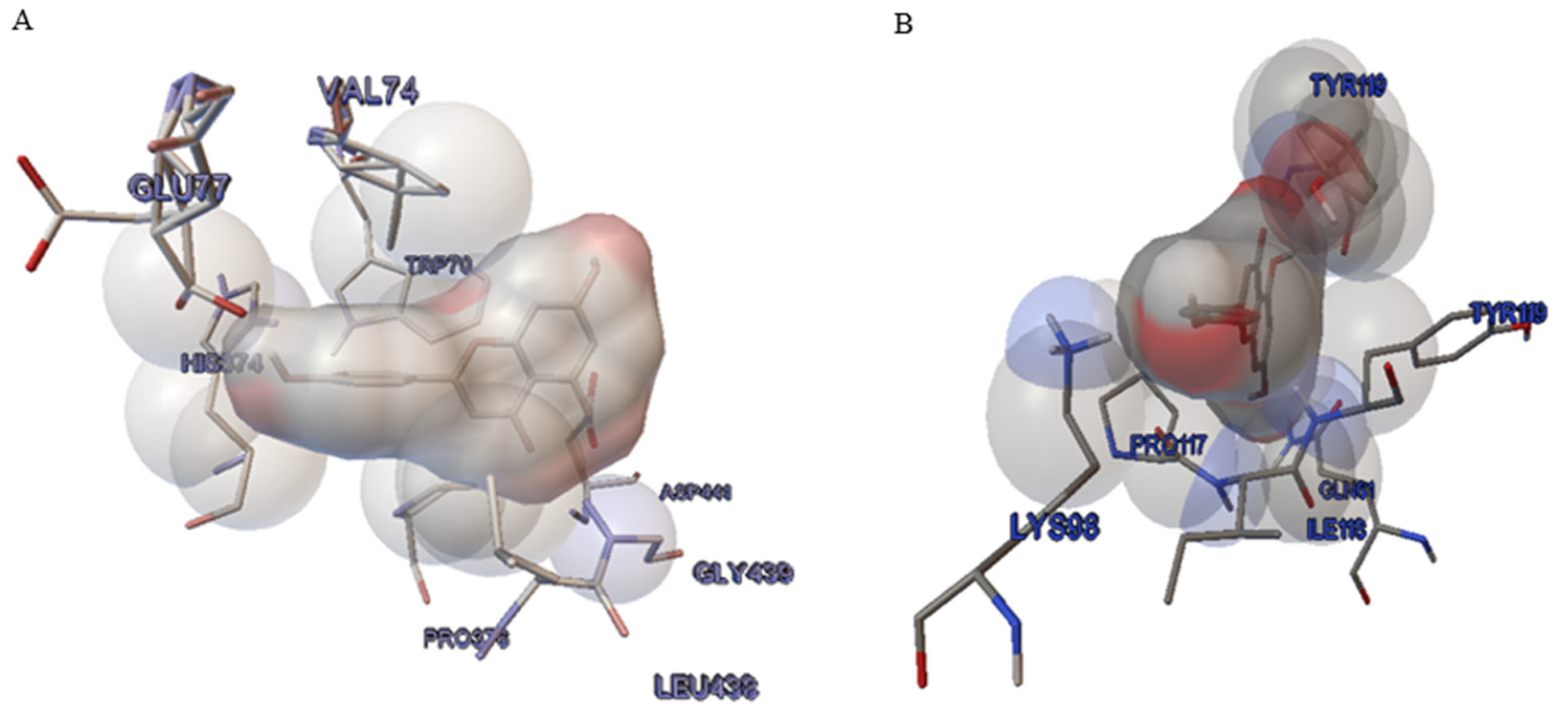 Pharmaceuticals 16 00811 g006