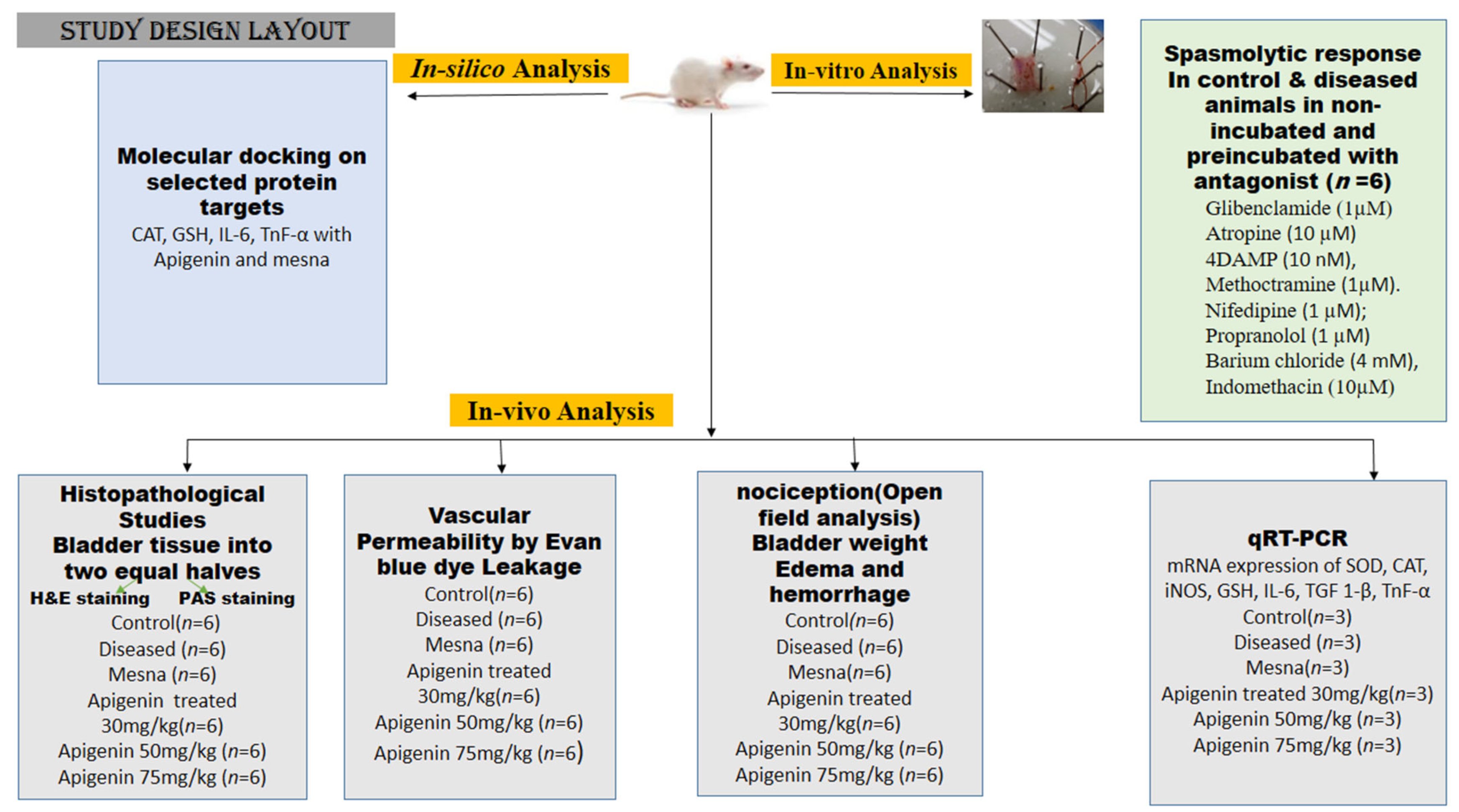Pharmaceuticals 16 00811 g008