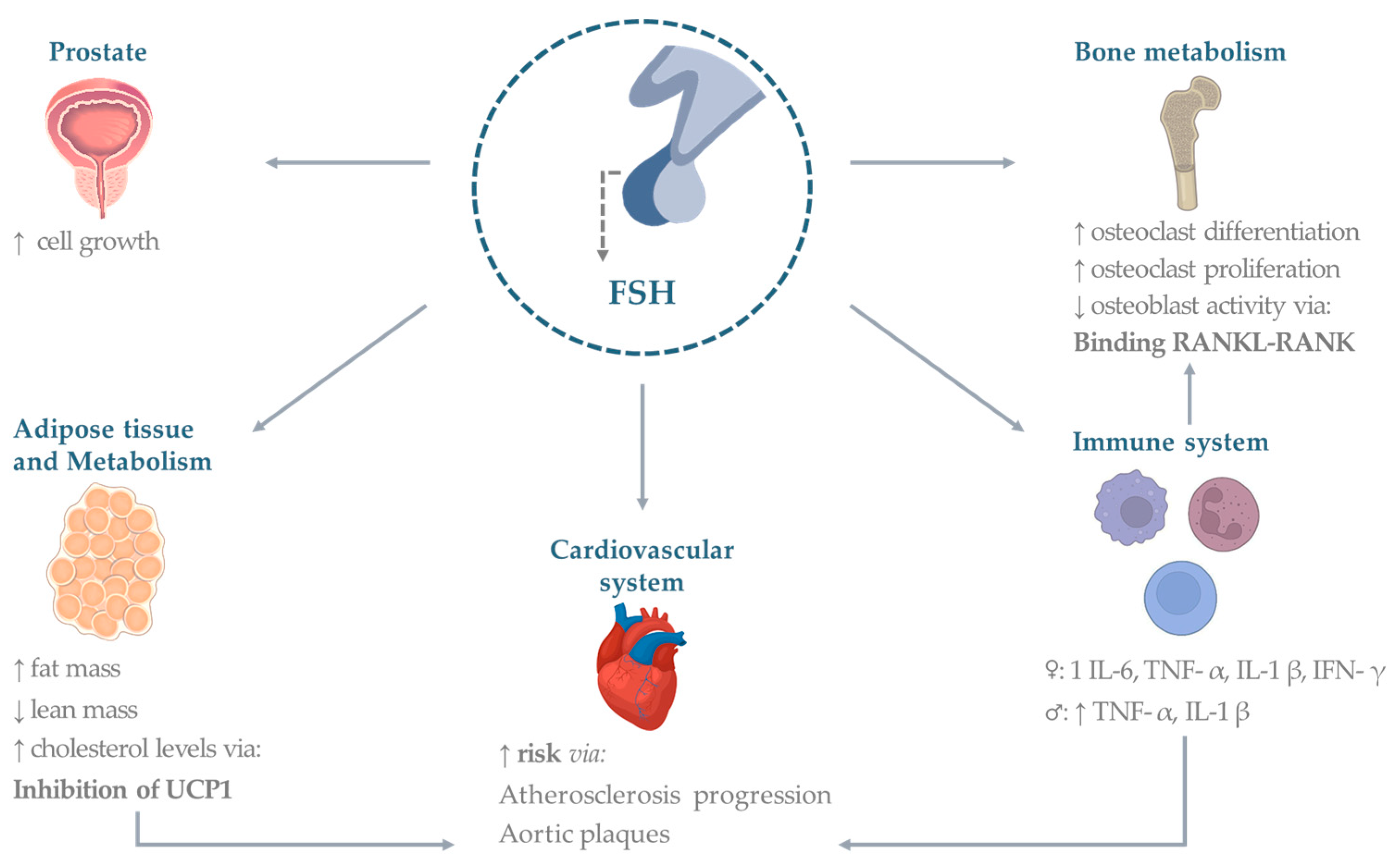 Pharmaceuticals 16 00813 g001 Pharmaceuticals 16 00813 g001
