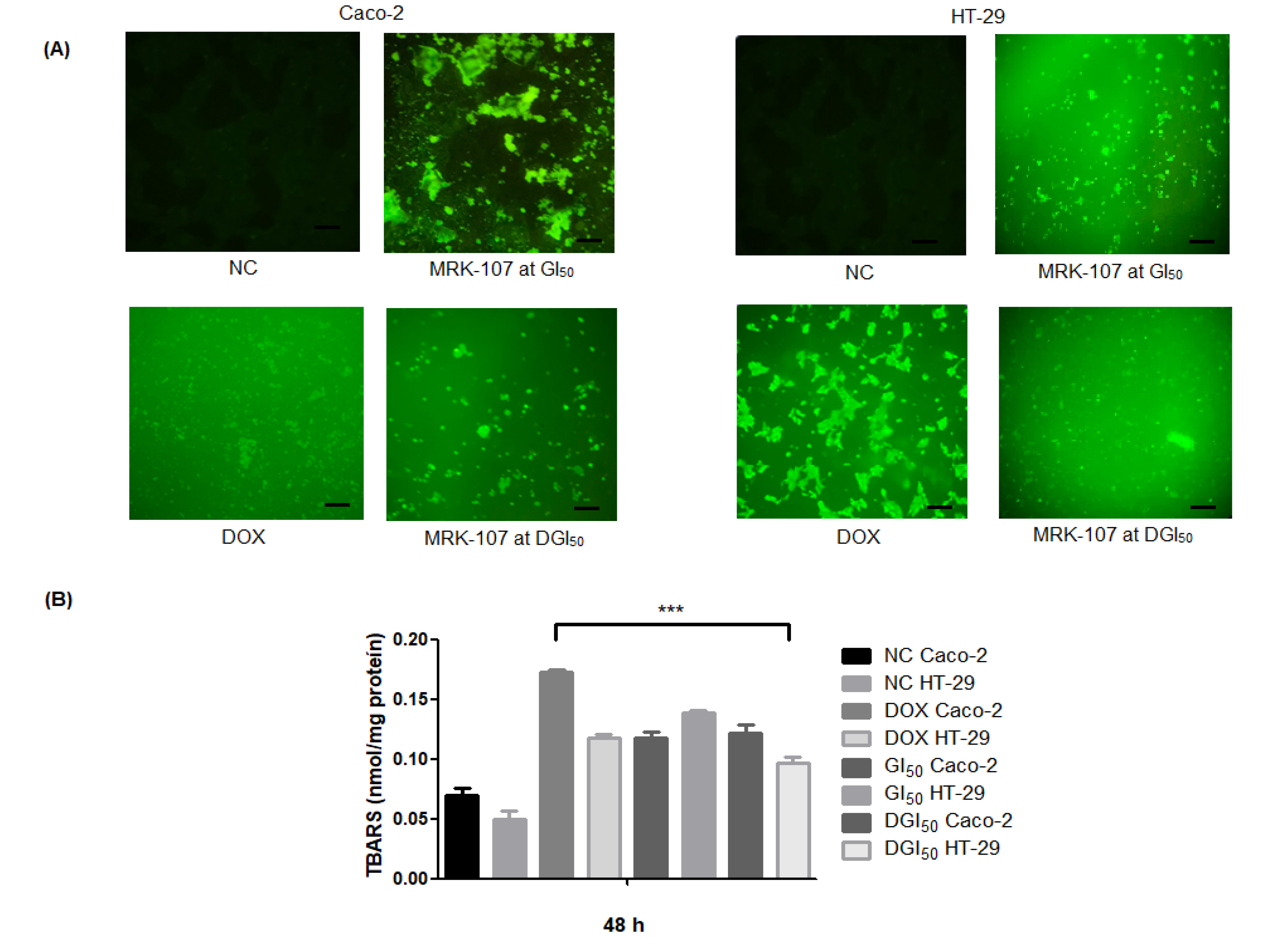 Pharmaceuticals 16 00814 g003