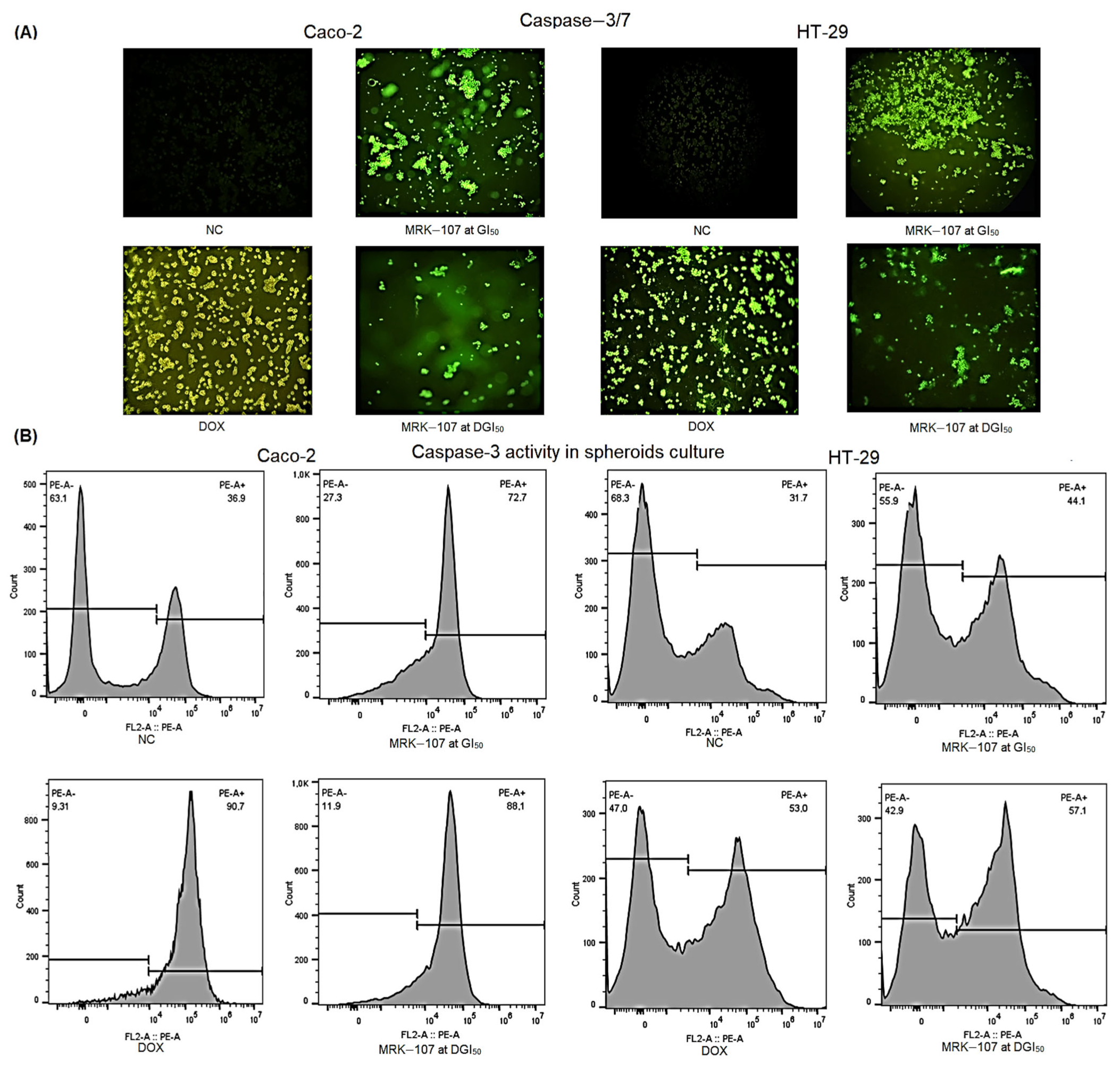 Pharmaceuticals 16 00814 g004