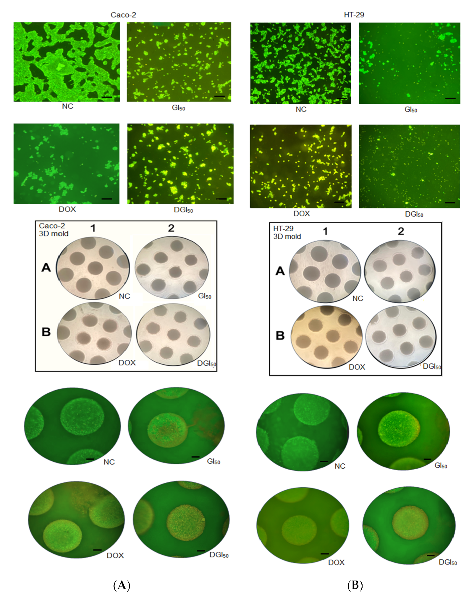 Pharmaceuticals 16 00814 g005