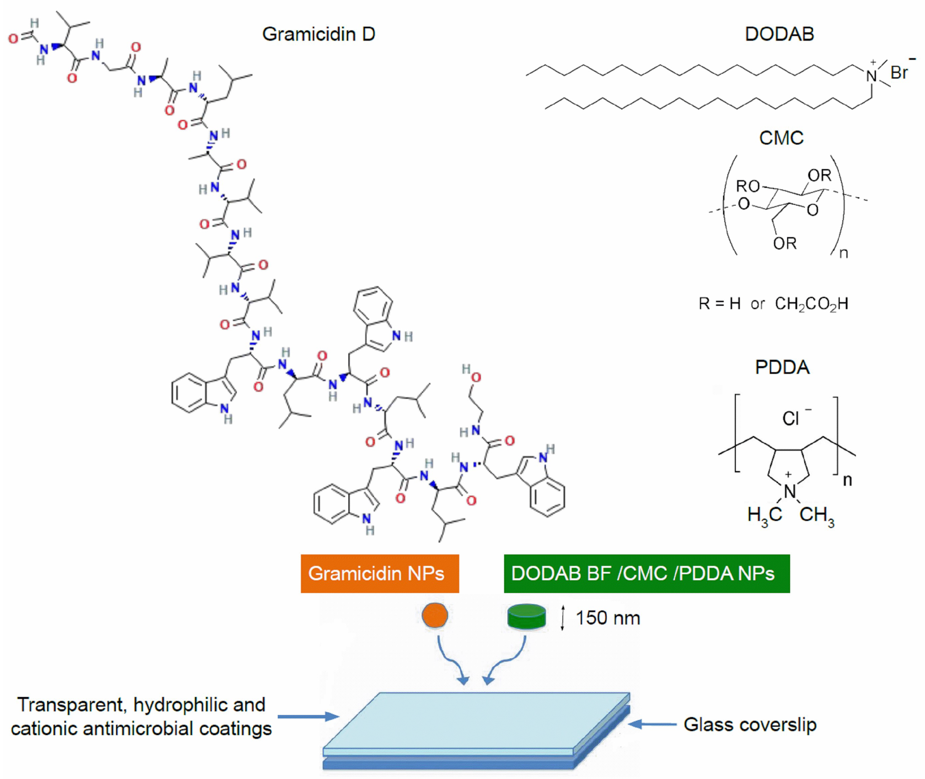 Pharmaceuticals 16 00816 g001