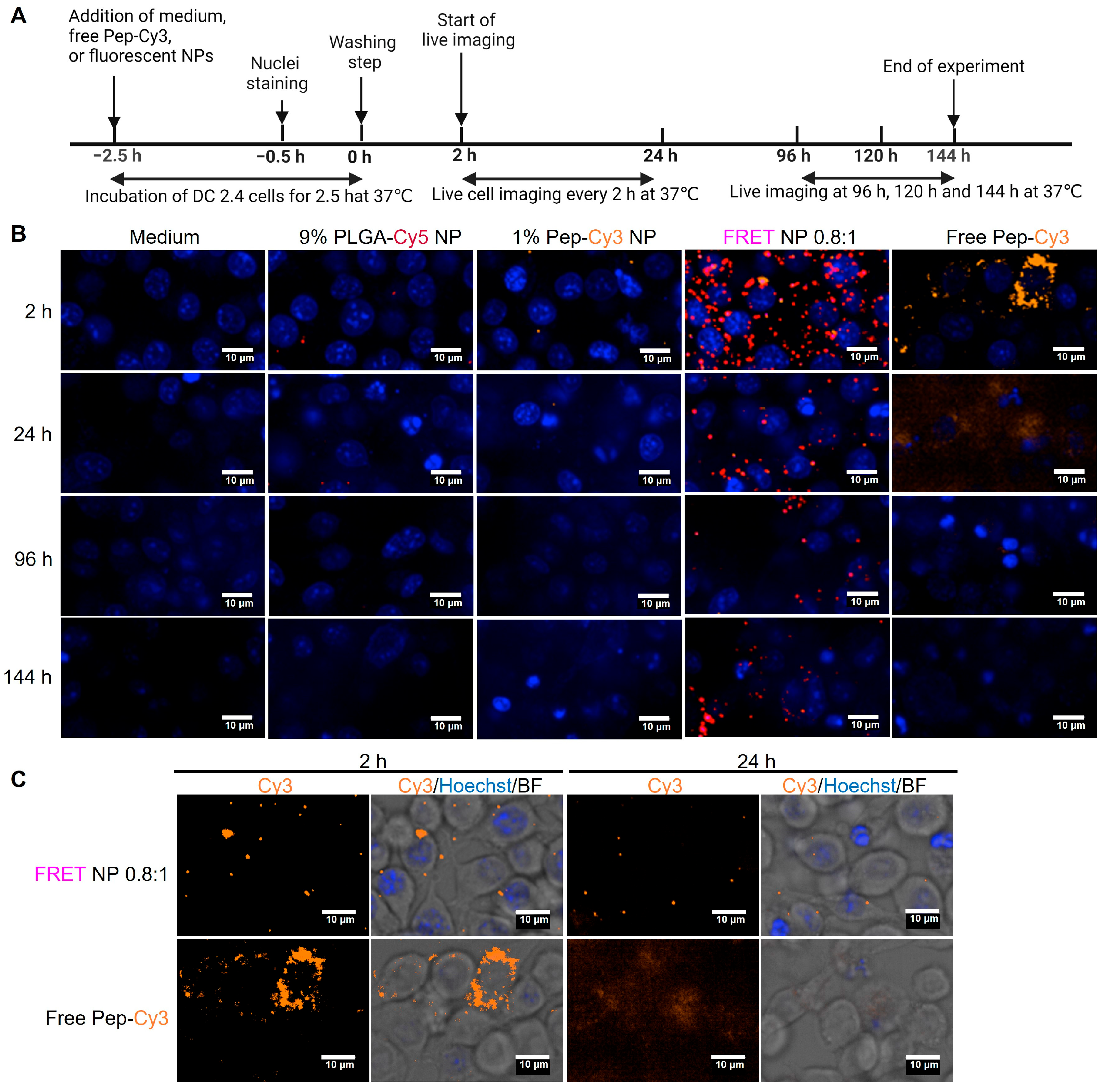 Pharmaceuticals 16 00818 g008