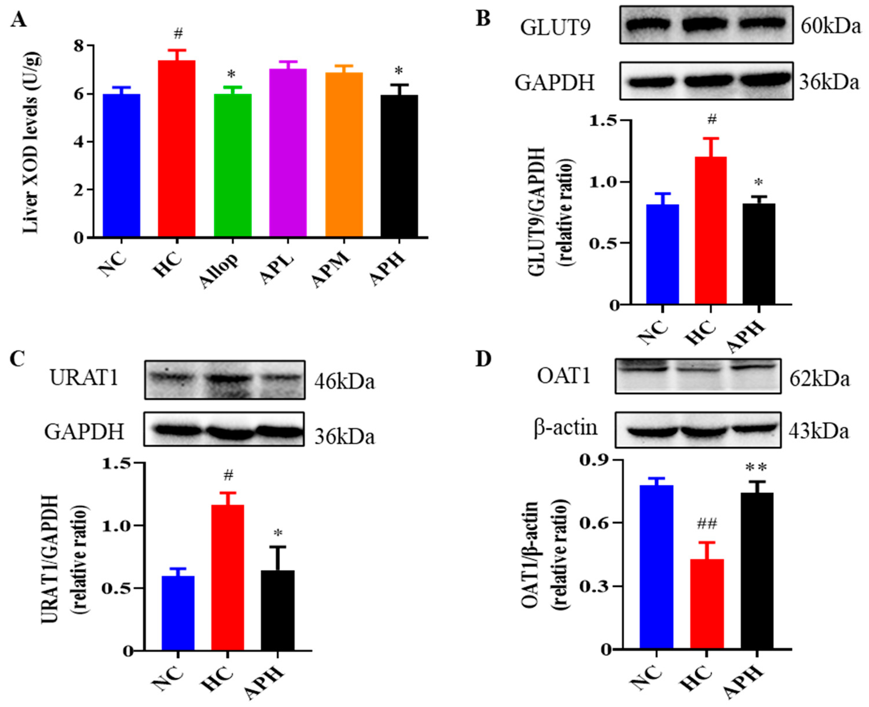 Pharmaceuticals 16 00819 g001
