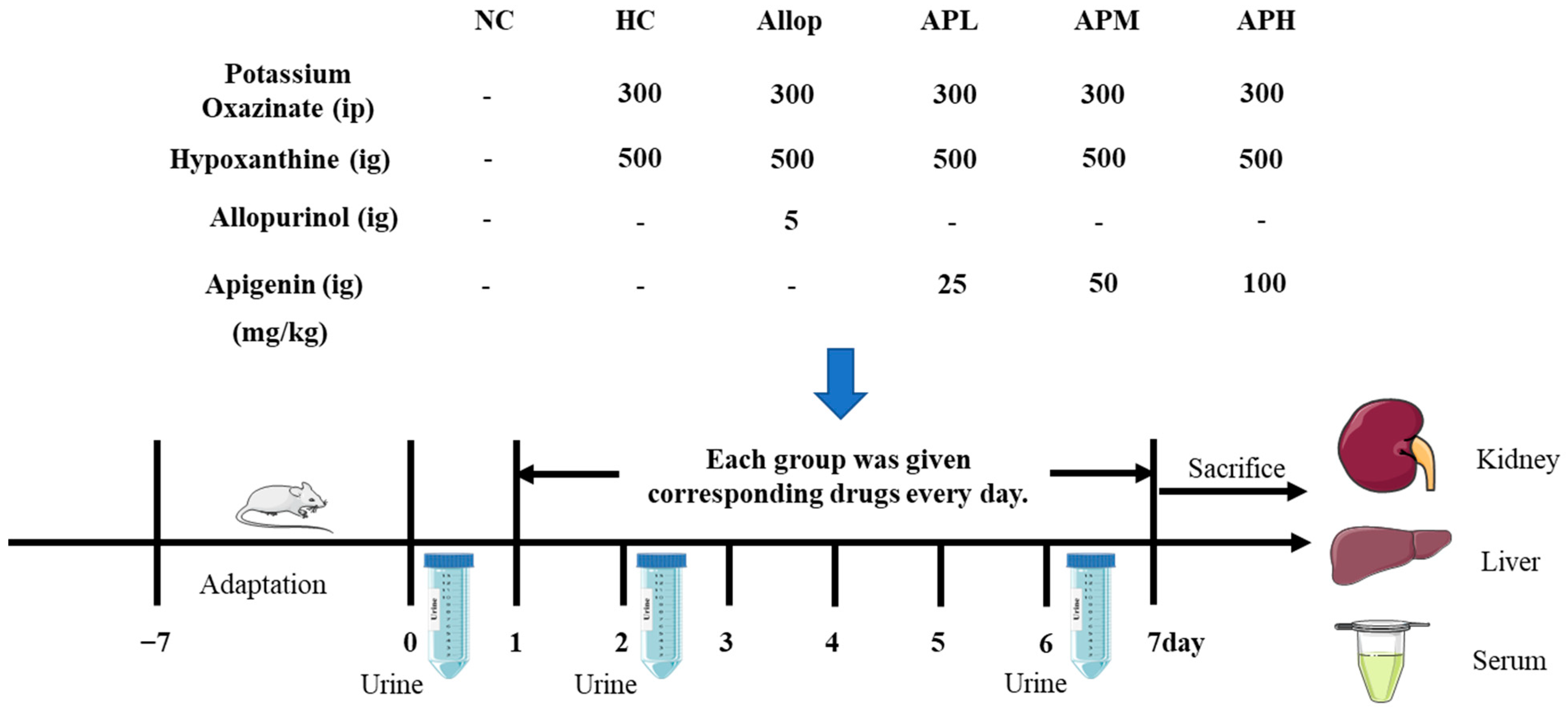 Pharmaceuticals 16 00819 g002