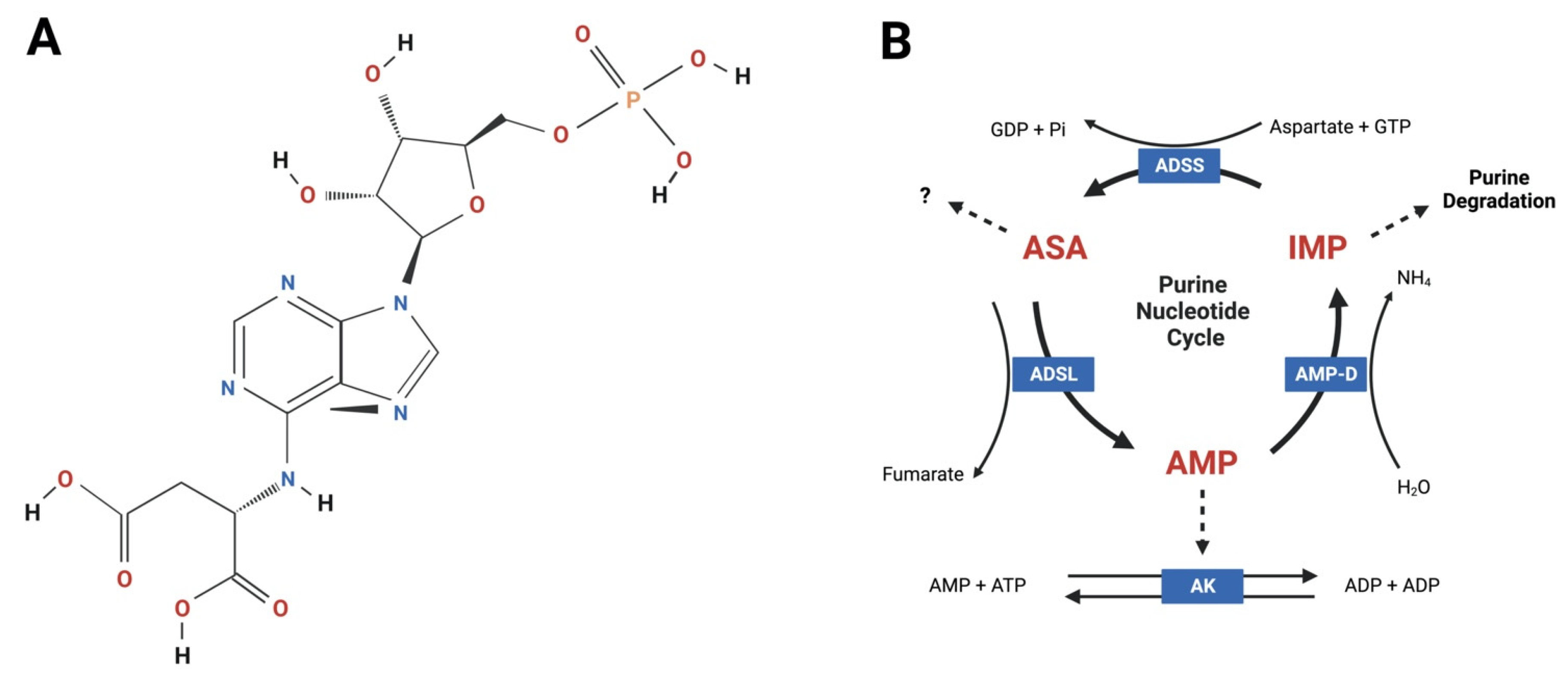 Pharmaceuticals 16 00822 g001 Pharmaceuticals 16 00822 g001