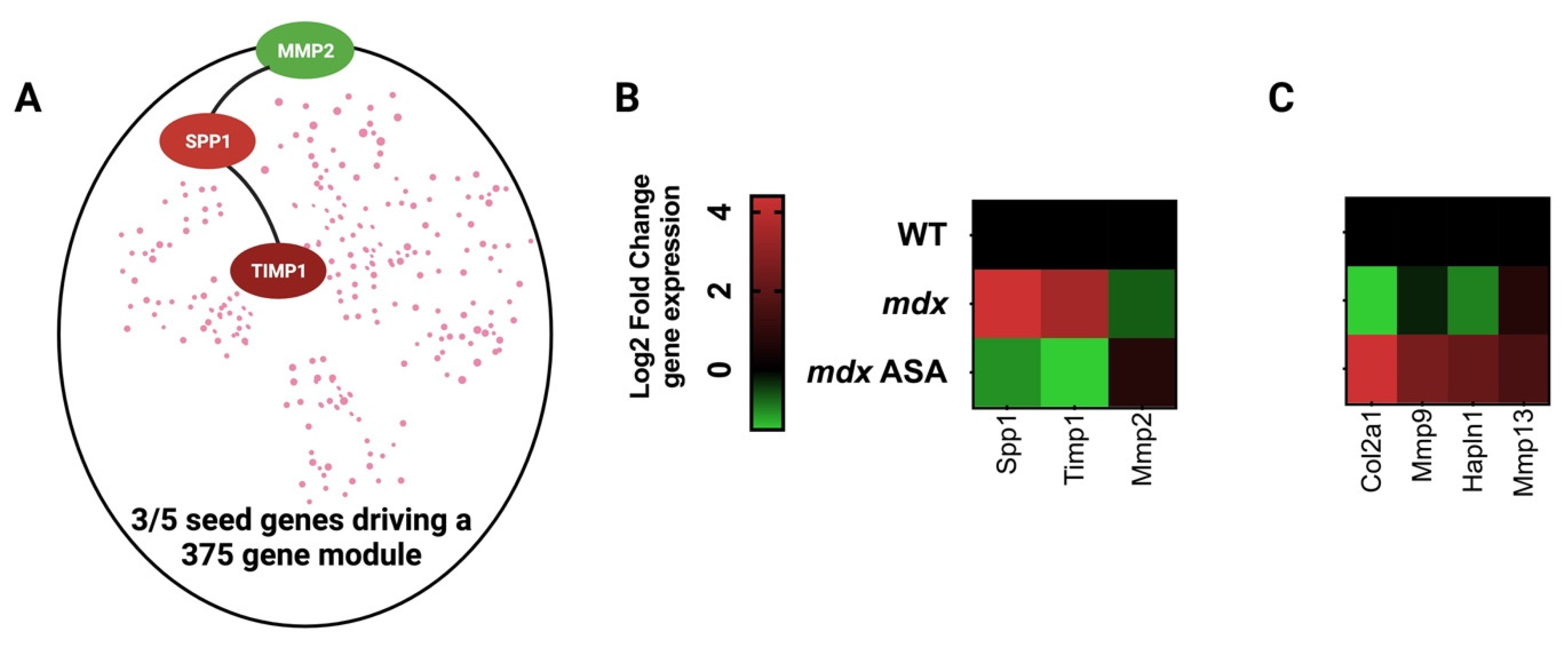 Pharmaceuticals 16 00822 g004 Pharmaceuticals 16 00822 g004