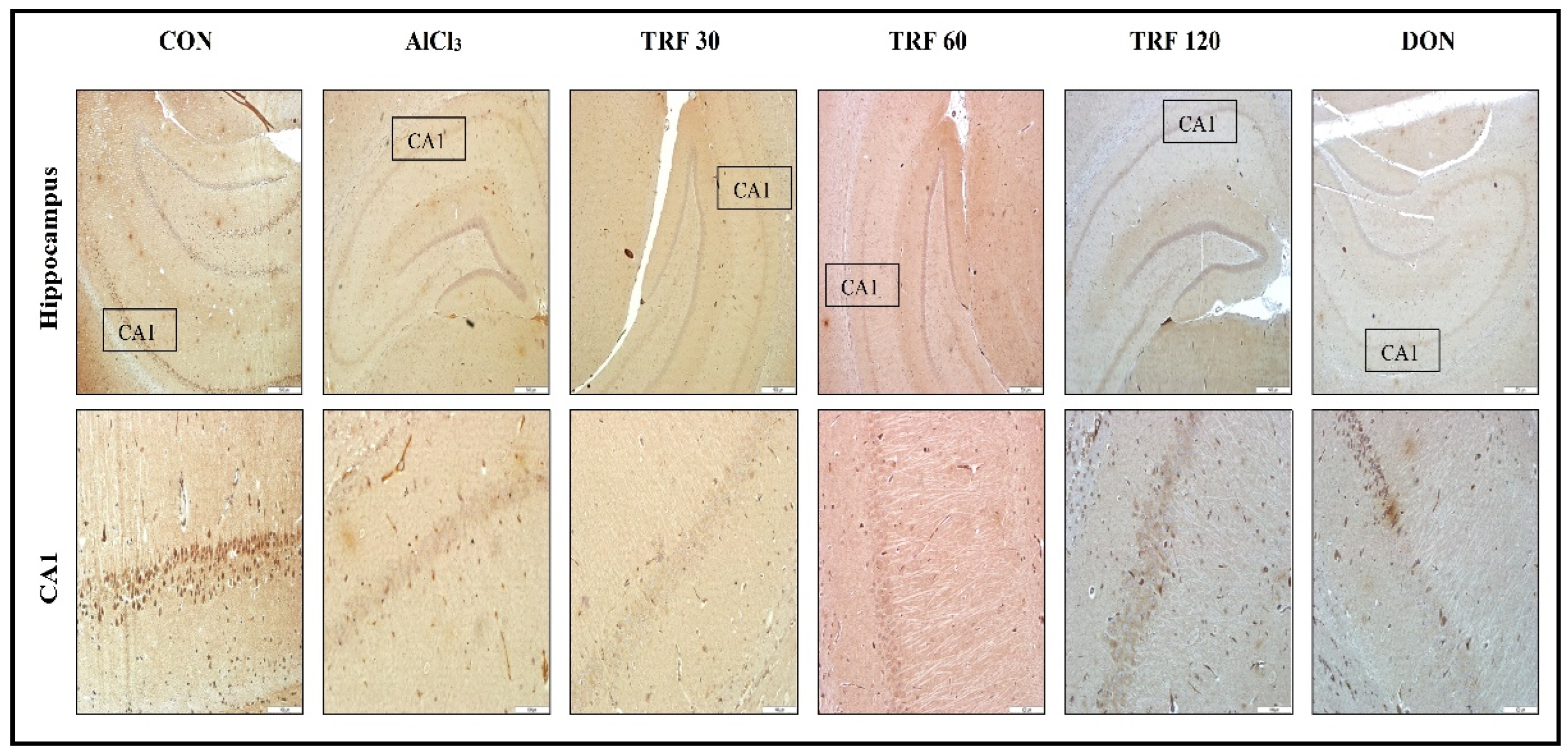 Pharmaceuticals 16 00828 g004 Pharmaceuticals 16 00828 g004