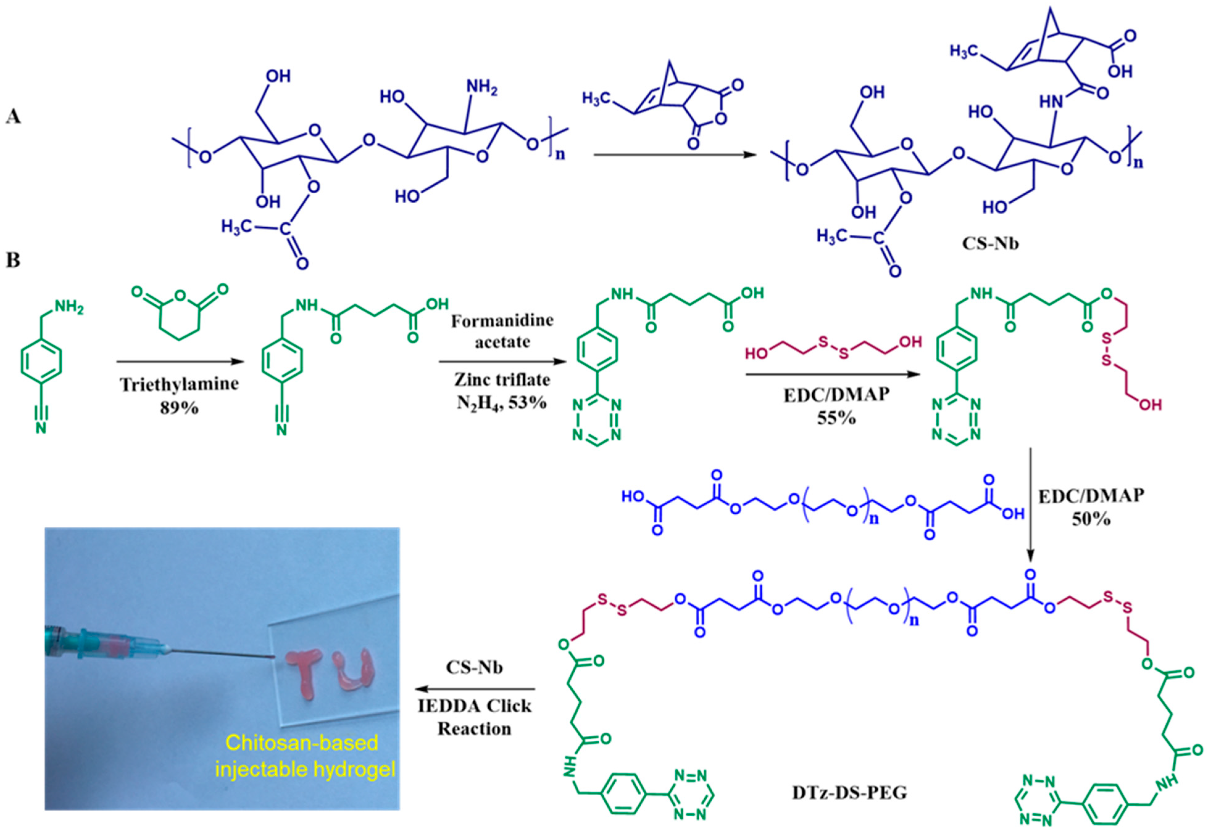 Pharmaceuticals 16 00841 g001 Pharmaceuticals 16 00841 g001