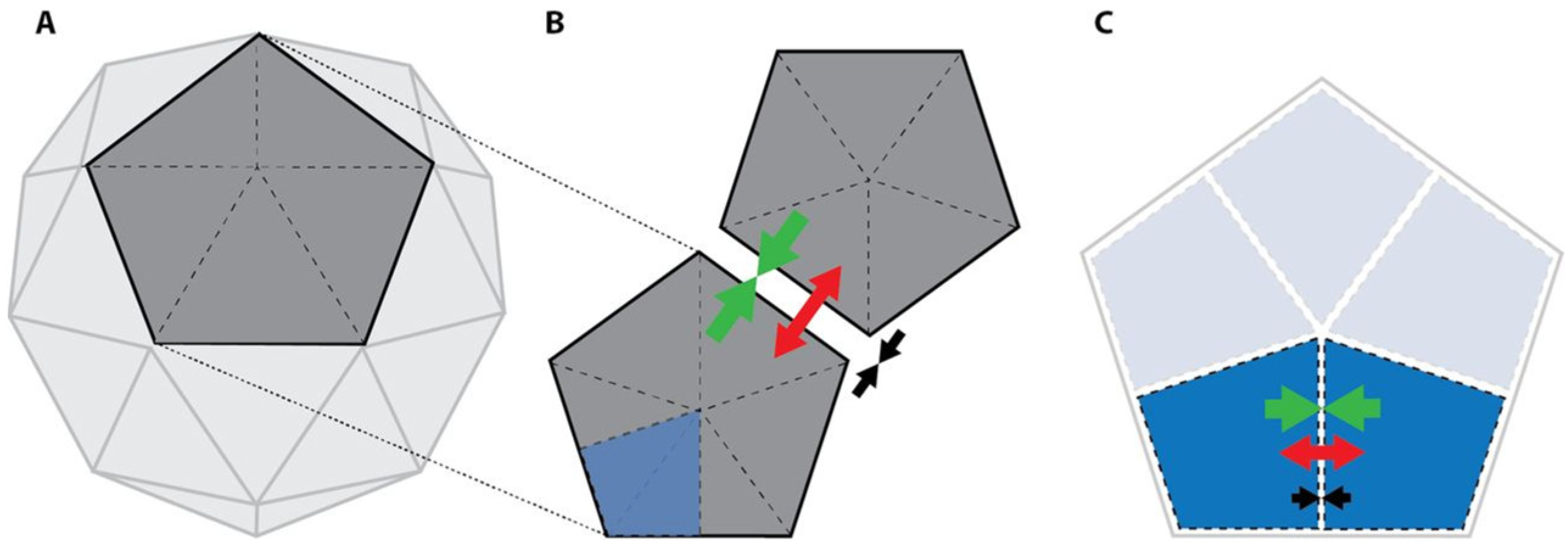 Pharmaceuticals 16 00843 g001