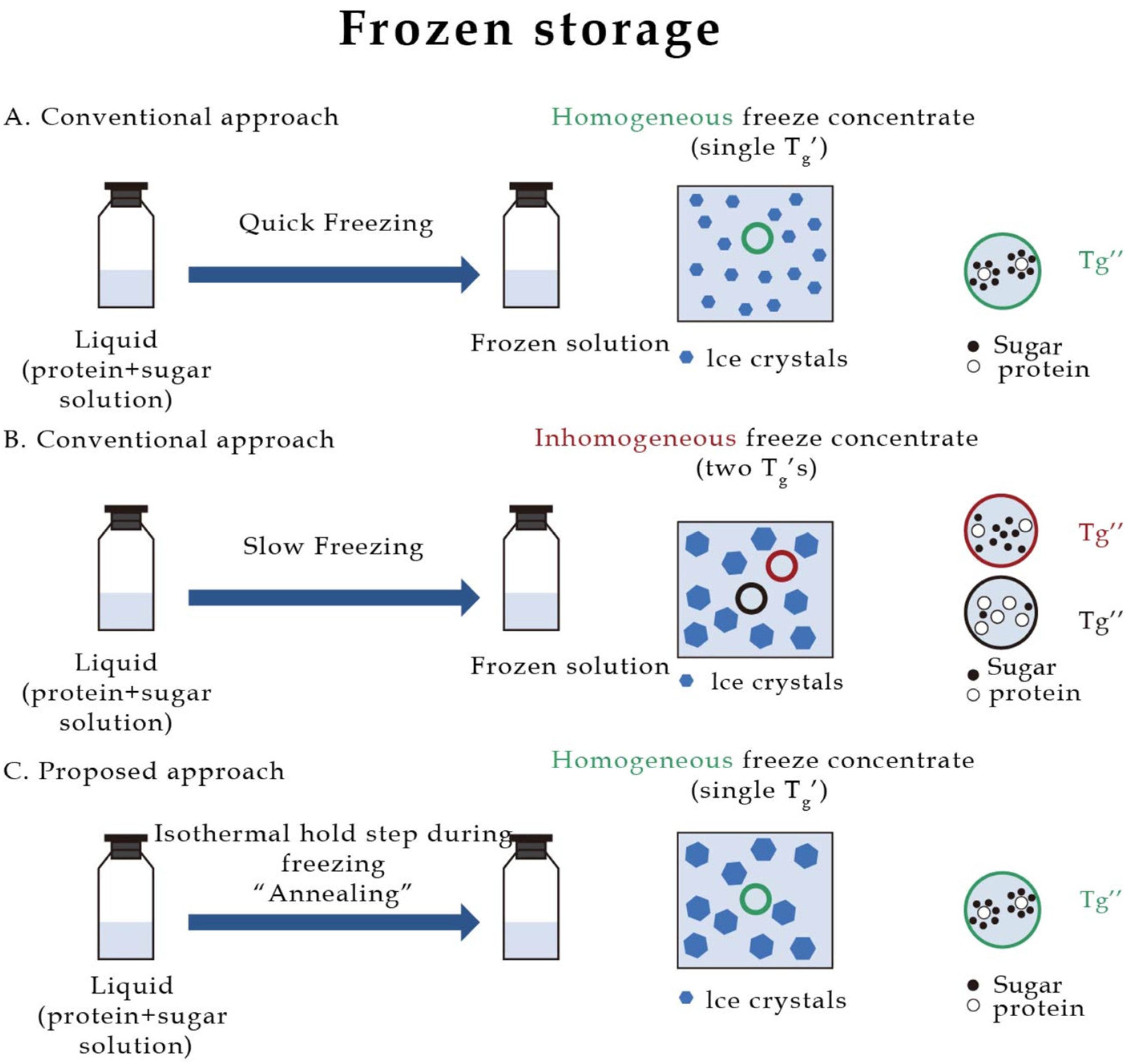 Pharmaceuticals 16 00843 g002