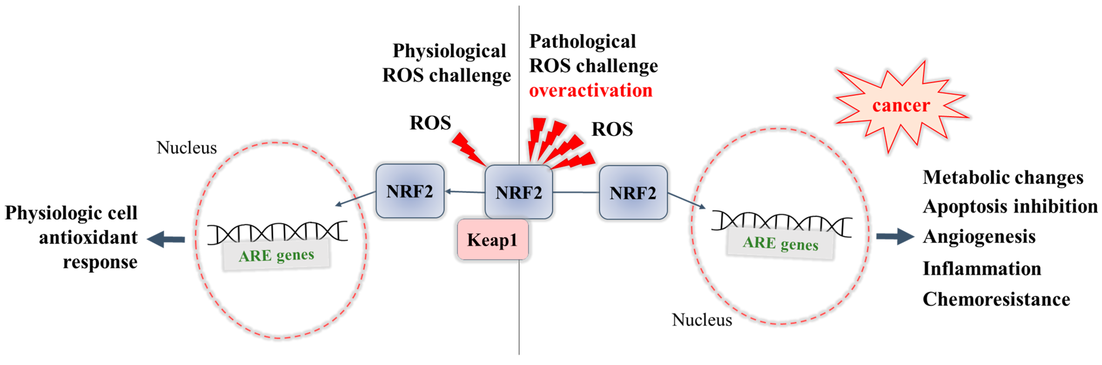 Pharmaceuticals 16 00850 g001