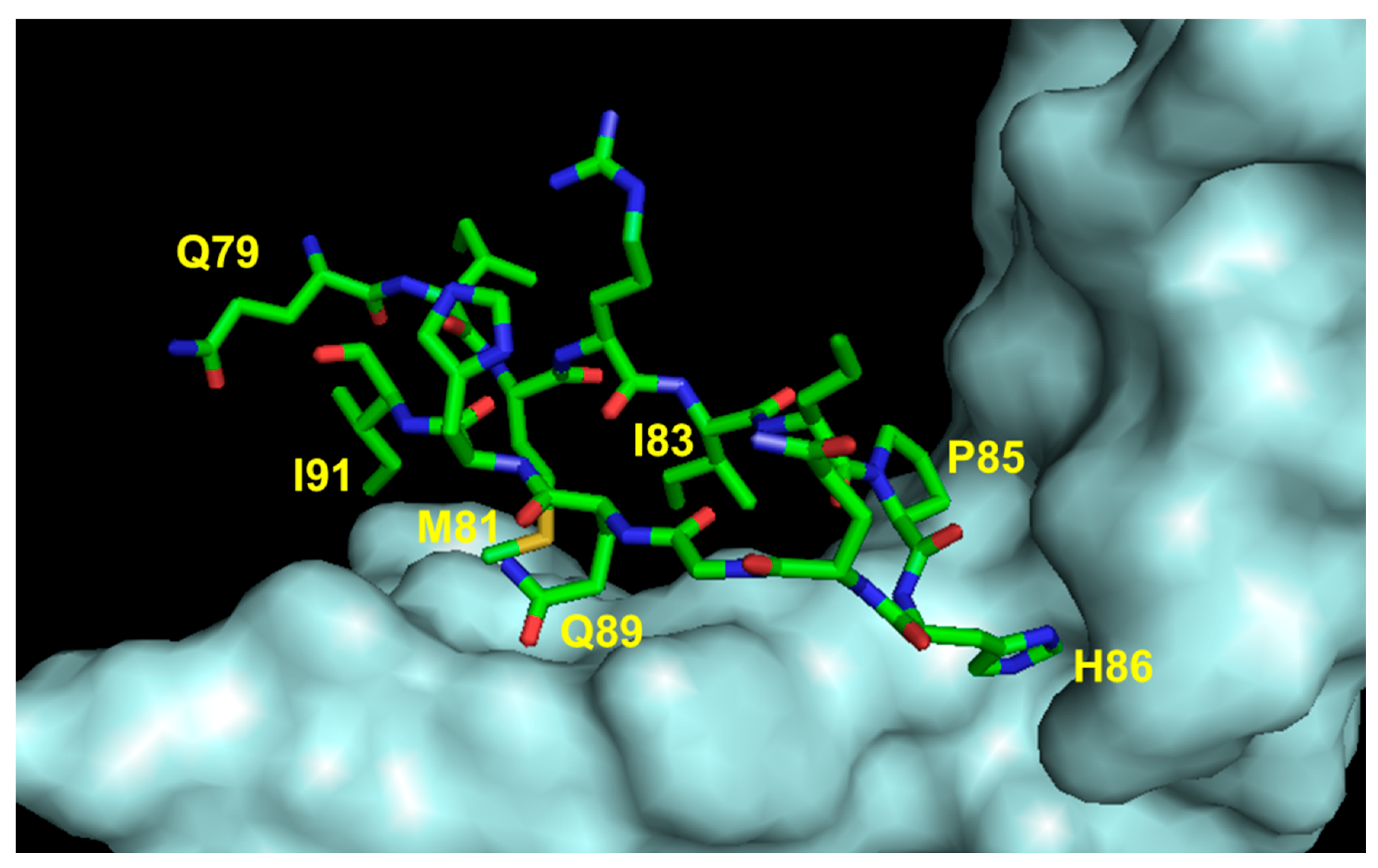 Pharmaceuticals 16 00851 g008