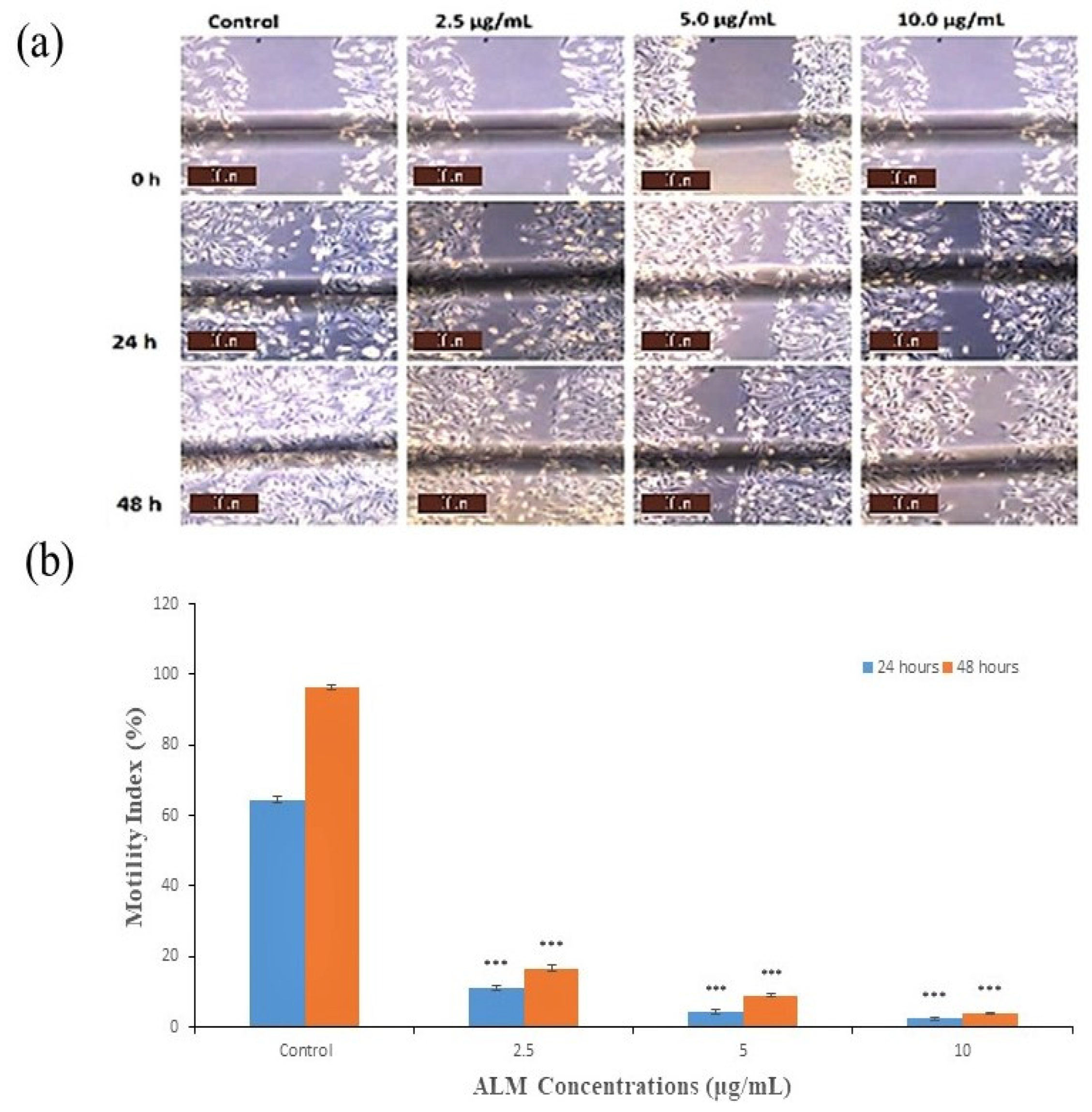 Pharmaceuticals 16 00858 g004