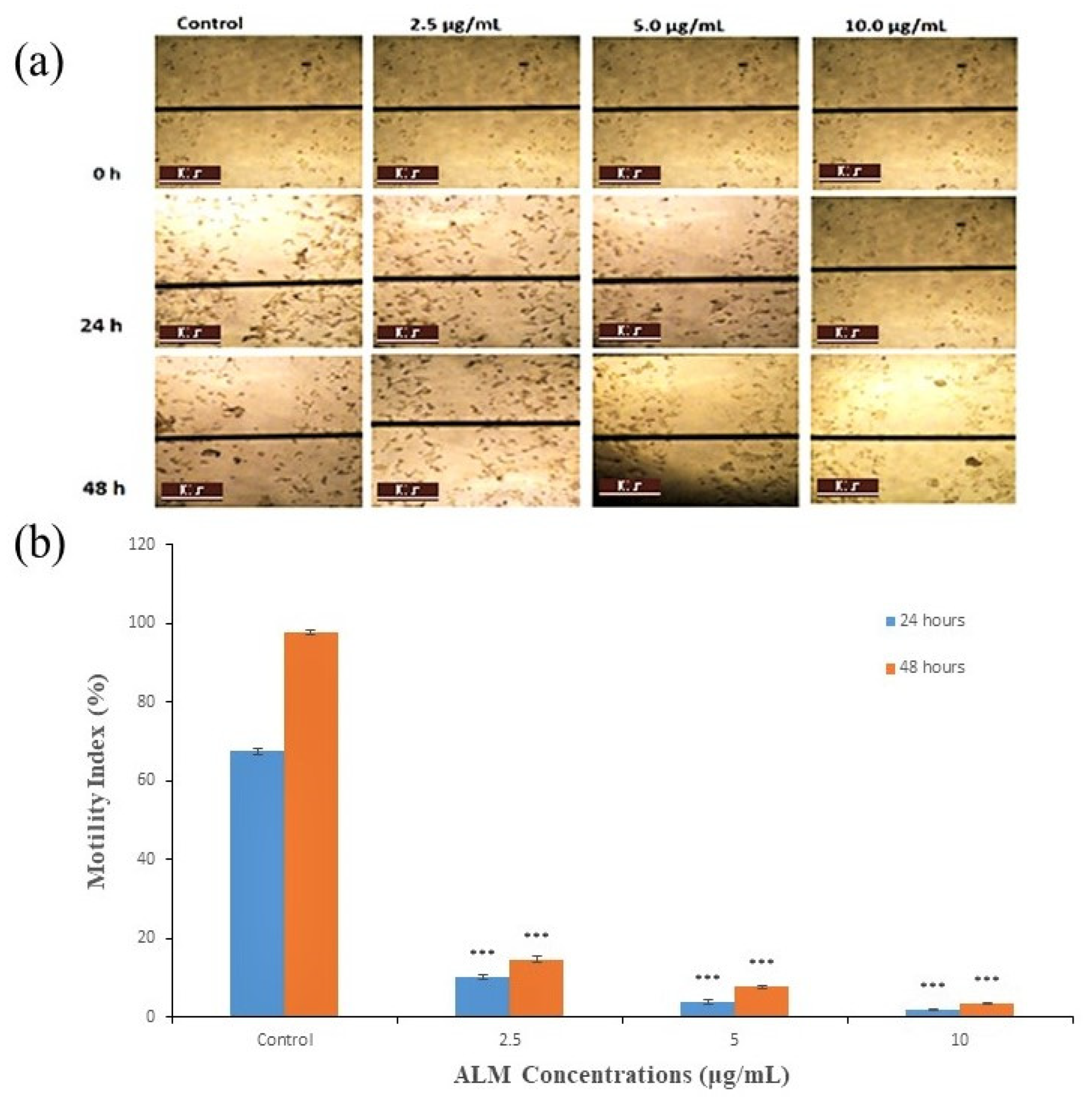 Pharmaceuticals 16 00858 g005