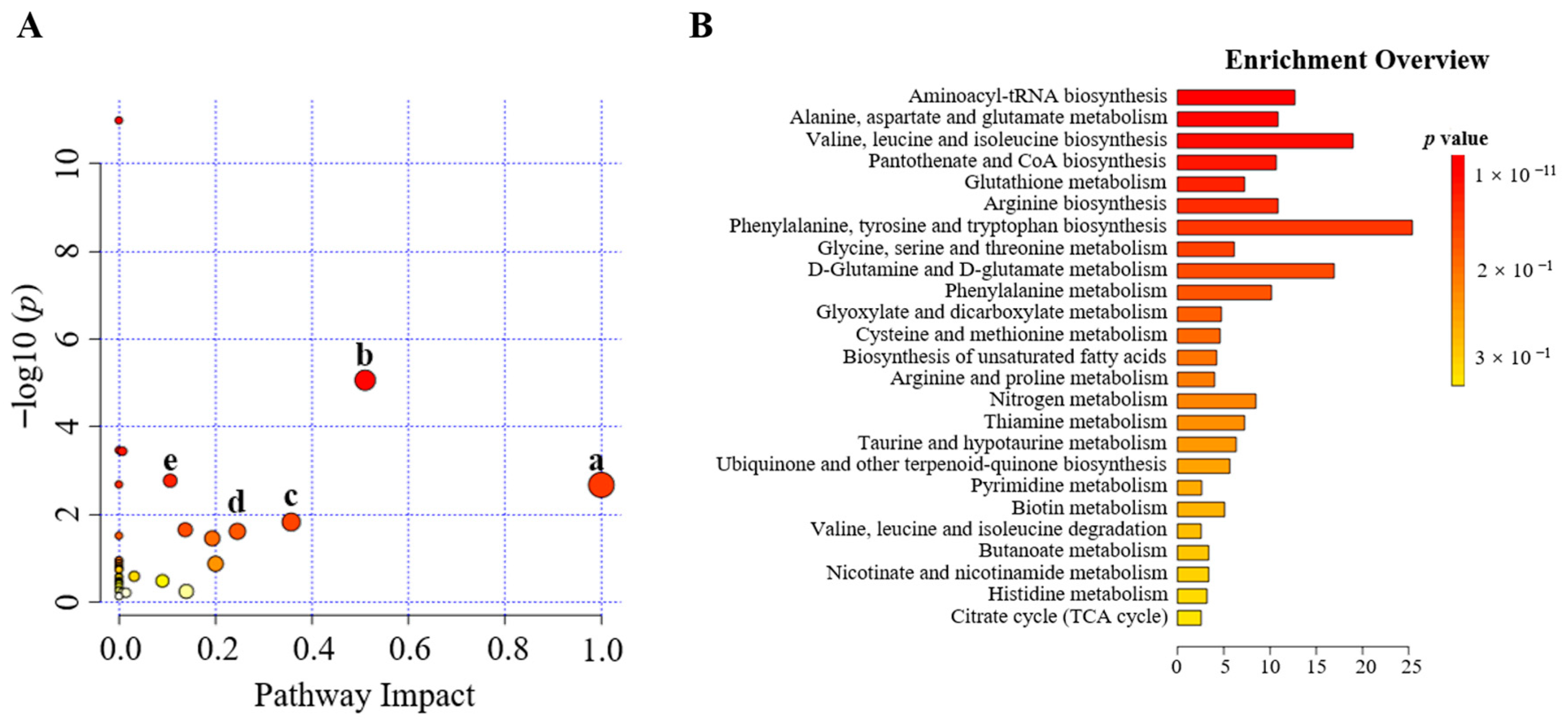 Pharmaceuticals 16 00861 g005