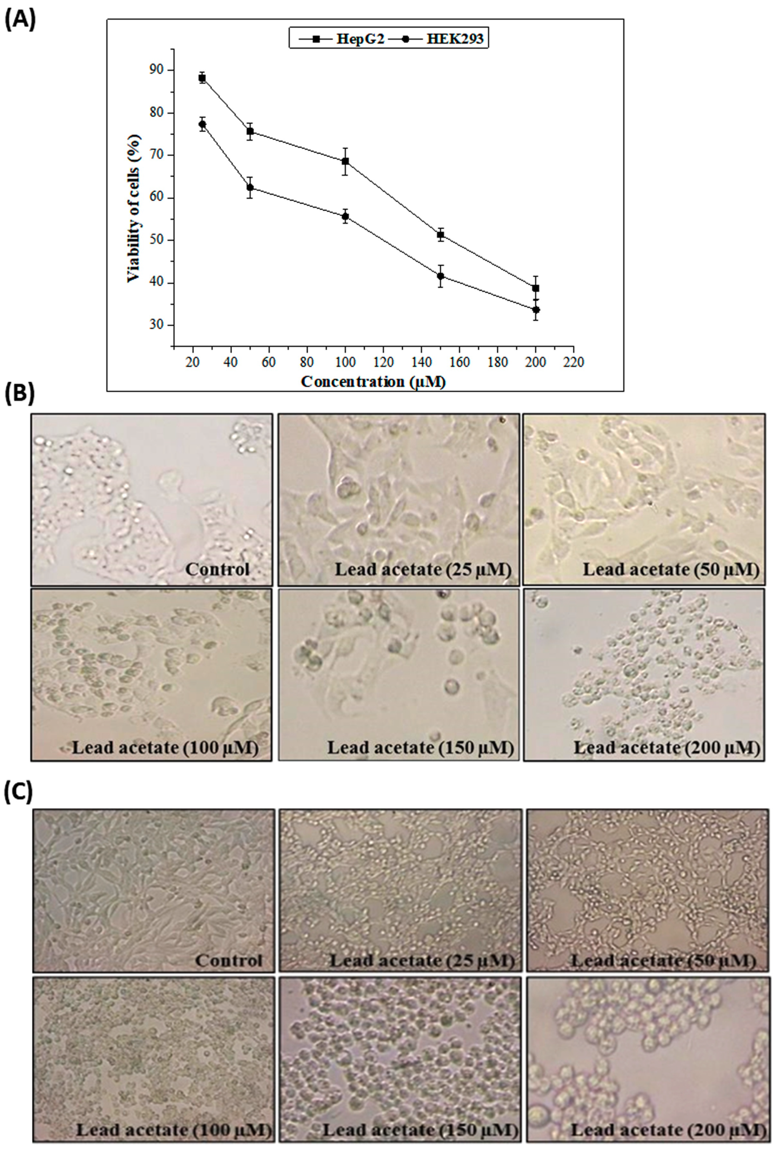 Pharmaceuticals 16 00875 g002