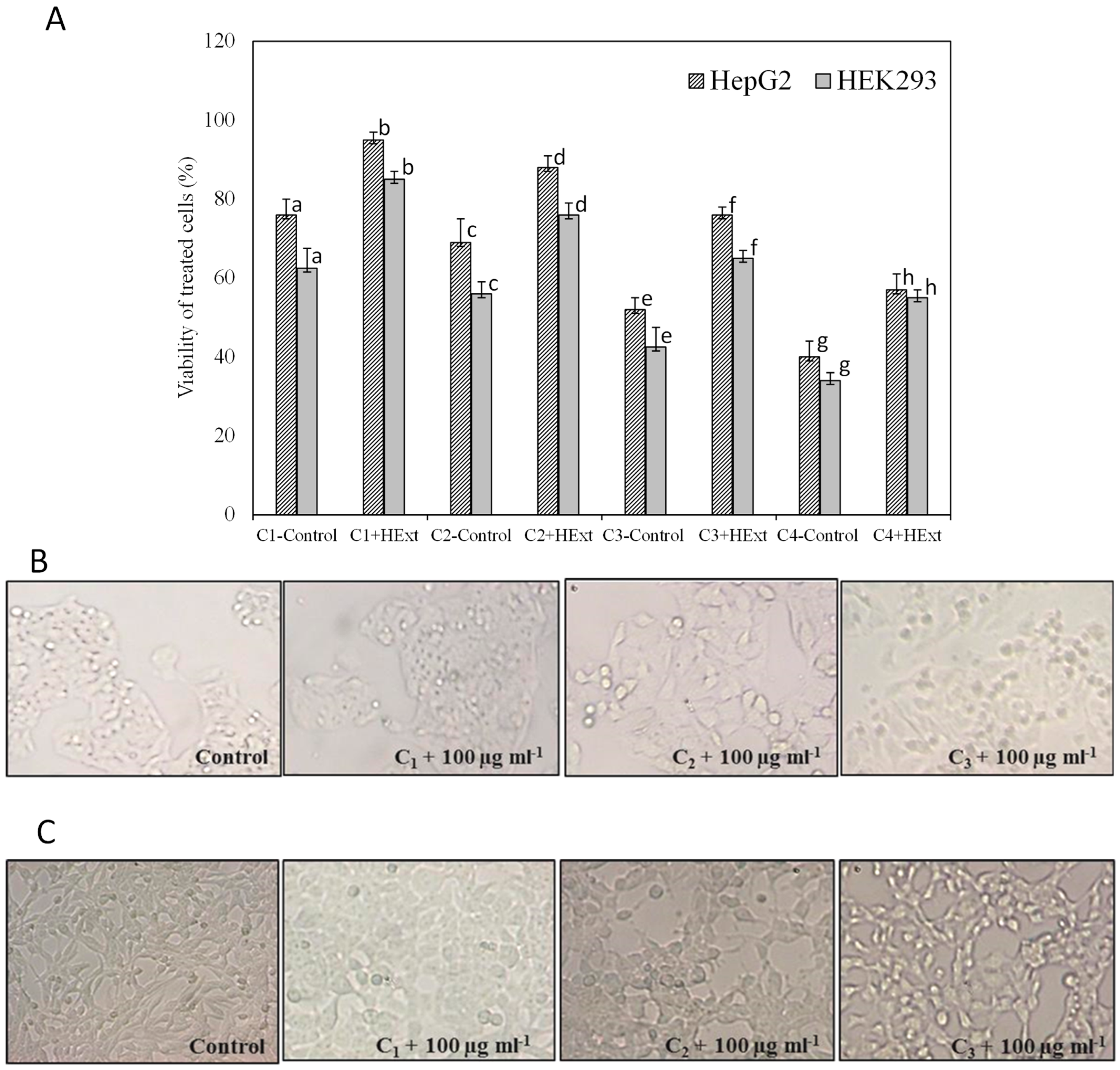 Pharmaceuticals 16 00875 g003