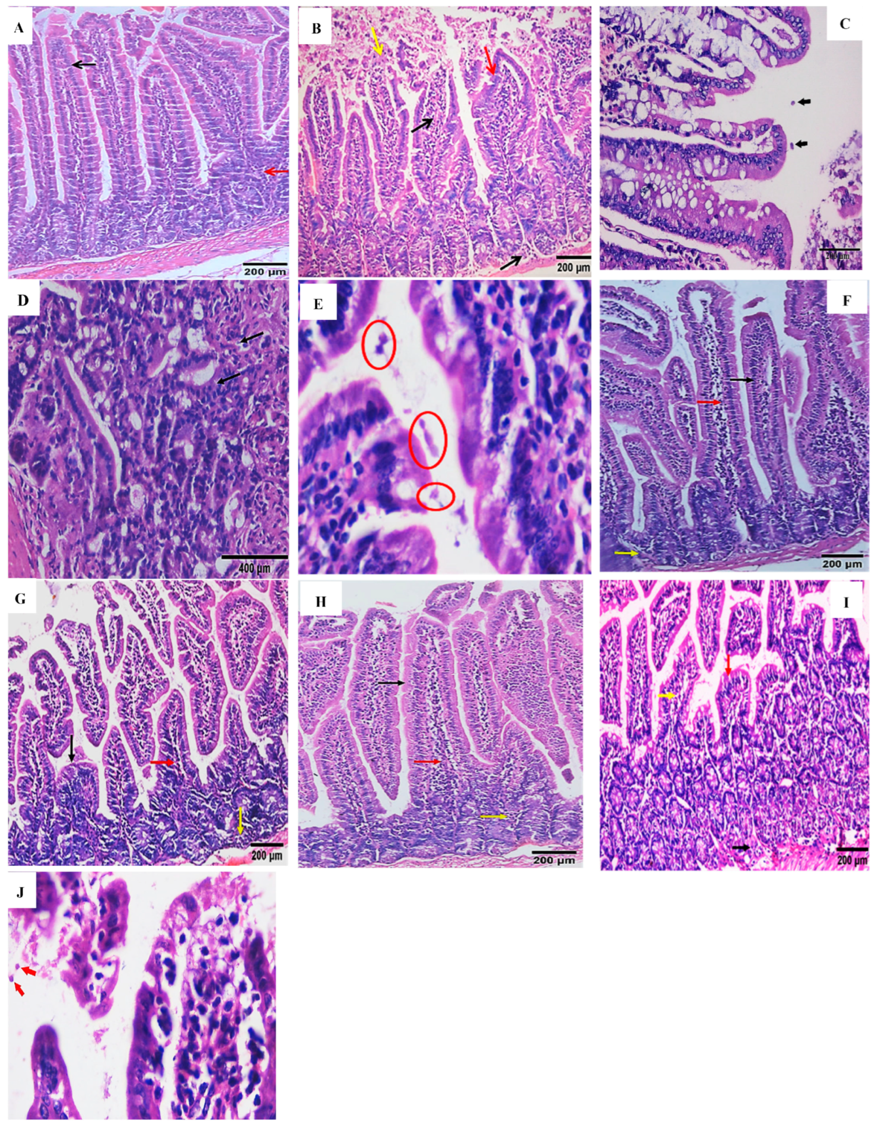 Pharmaceuticals 16 00878 g003