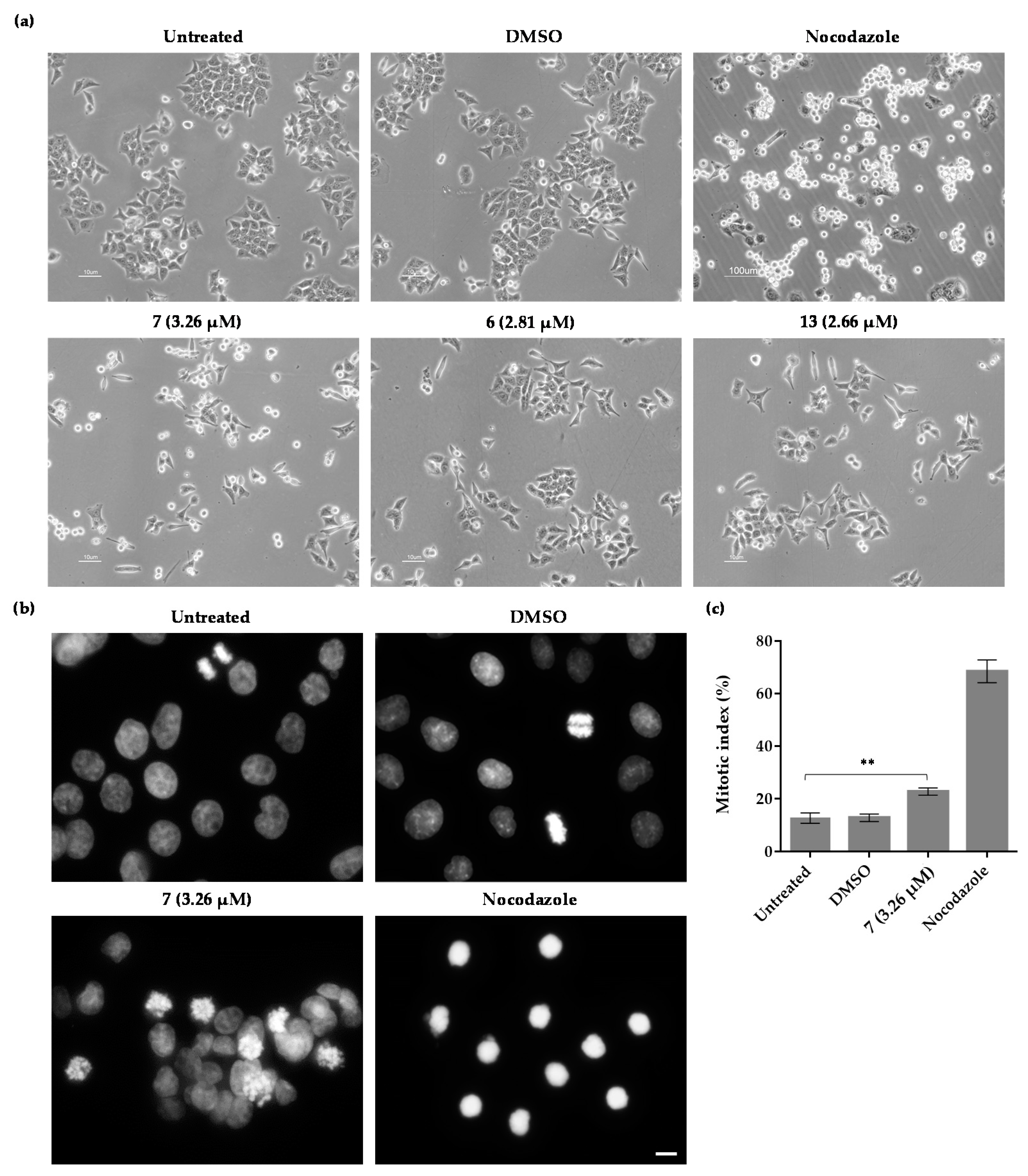 Pharmaceuticals 16 00879 g004 Pharmaceuticals 16 00879 g004