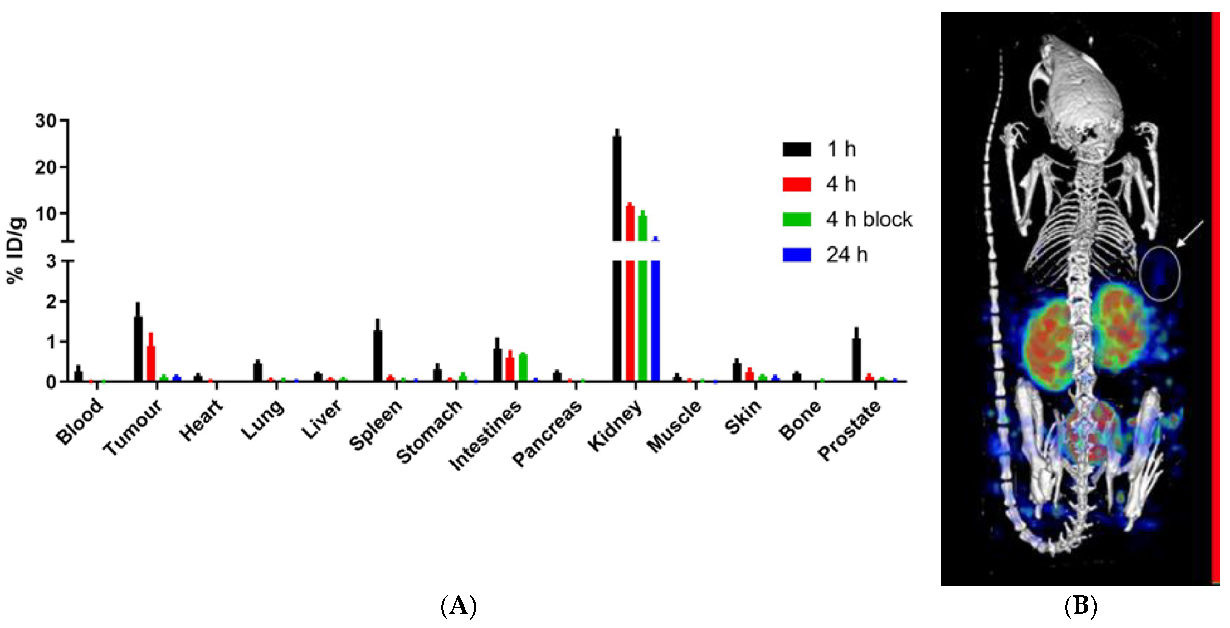 Pharmaceuticals 16 00882 g004