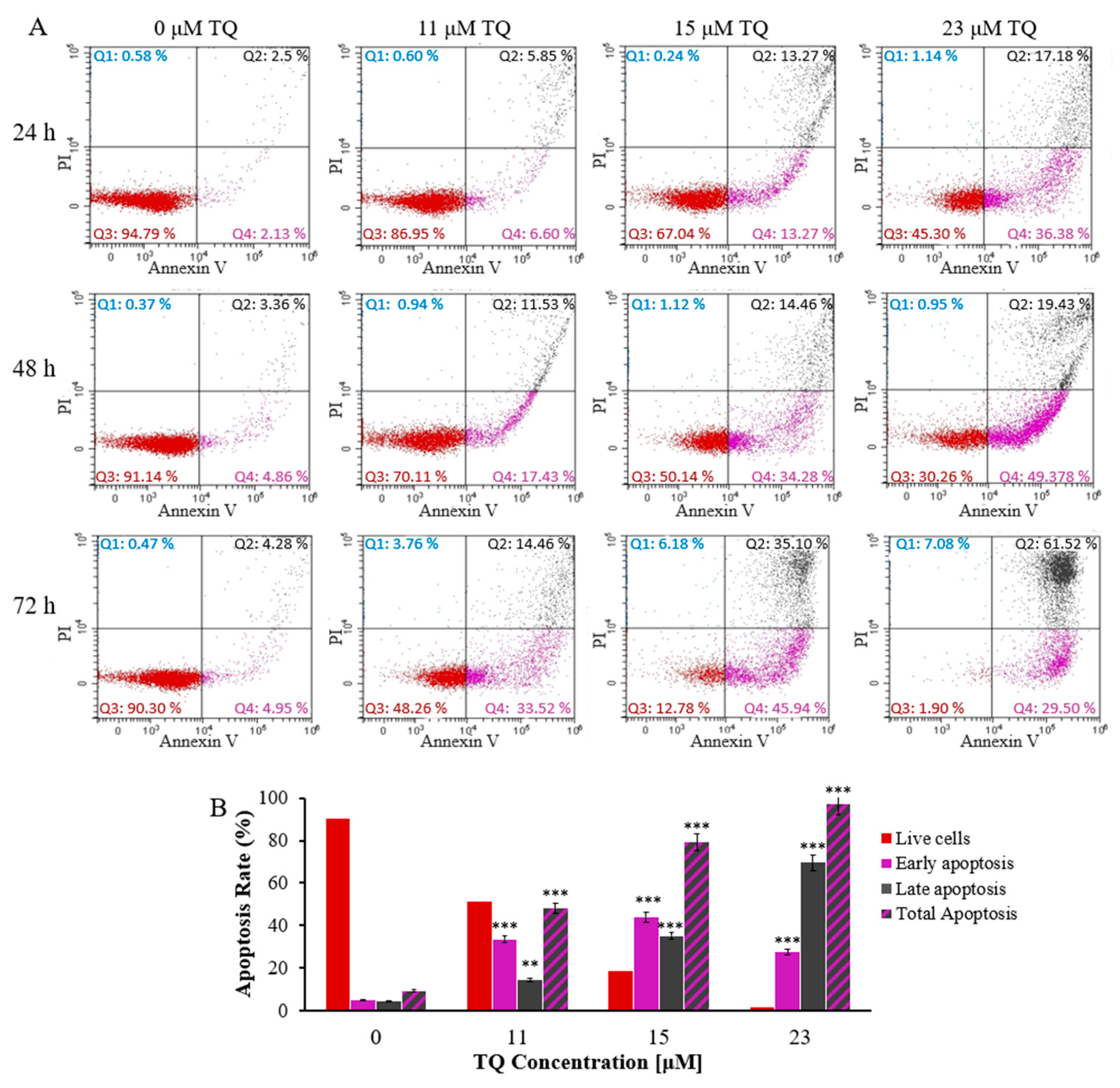 Pharmaceuticals 16 00884 g001