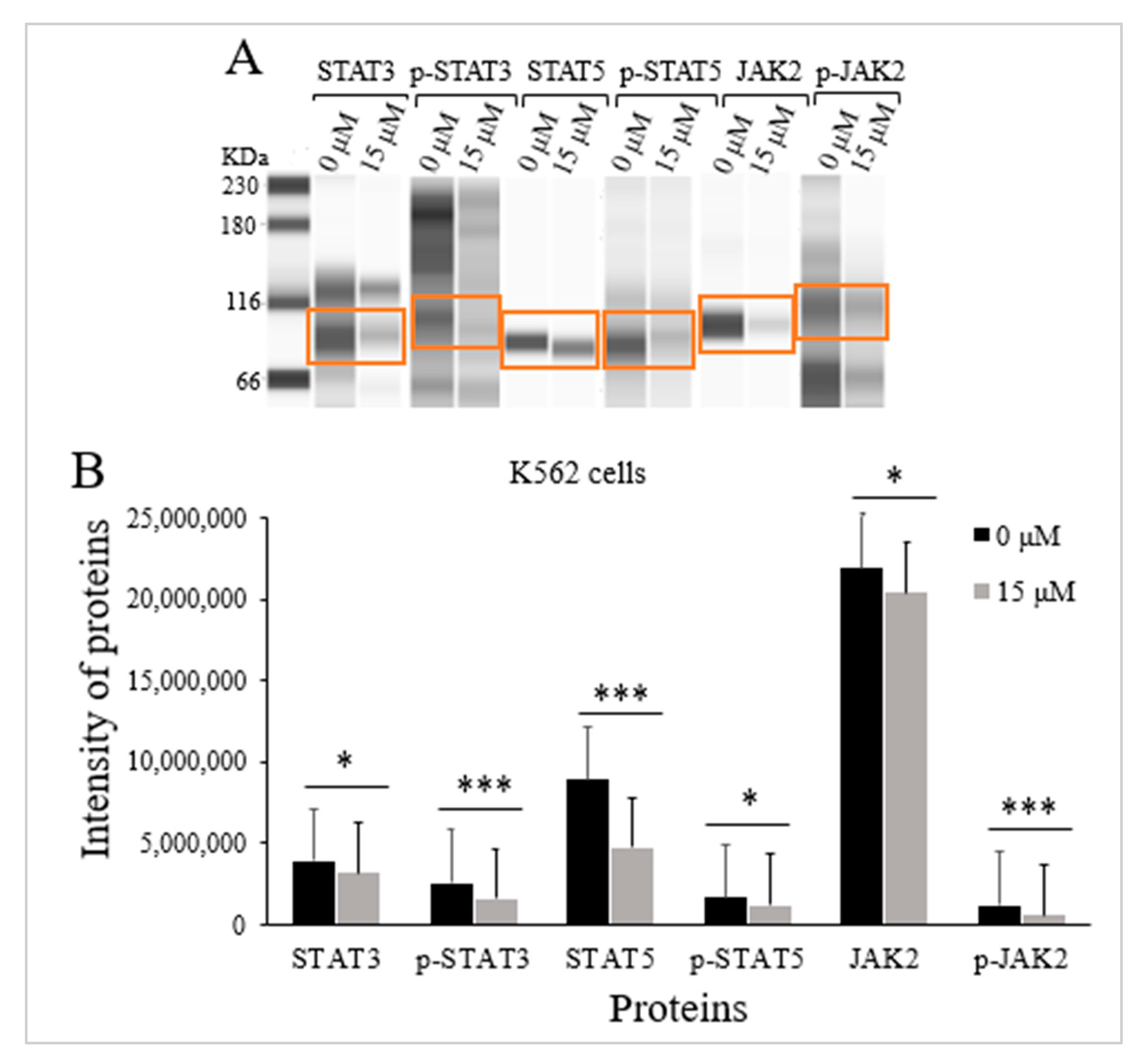 Pharmaceuticals 16 00884 g005