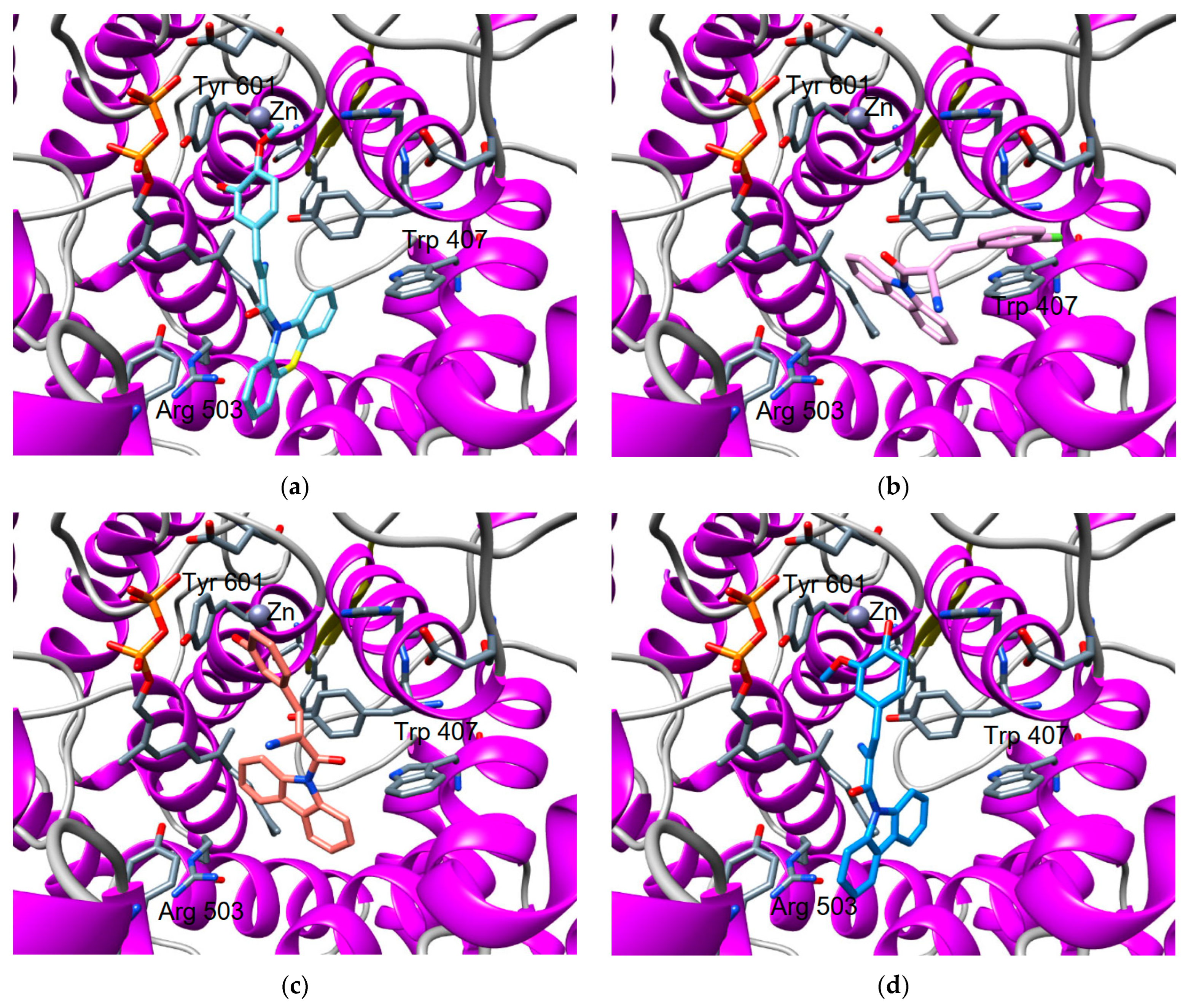 Pharmaceuticals 16 00888 g004 Pharmaceuticals 16 00888 g004
