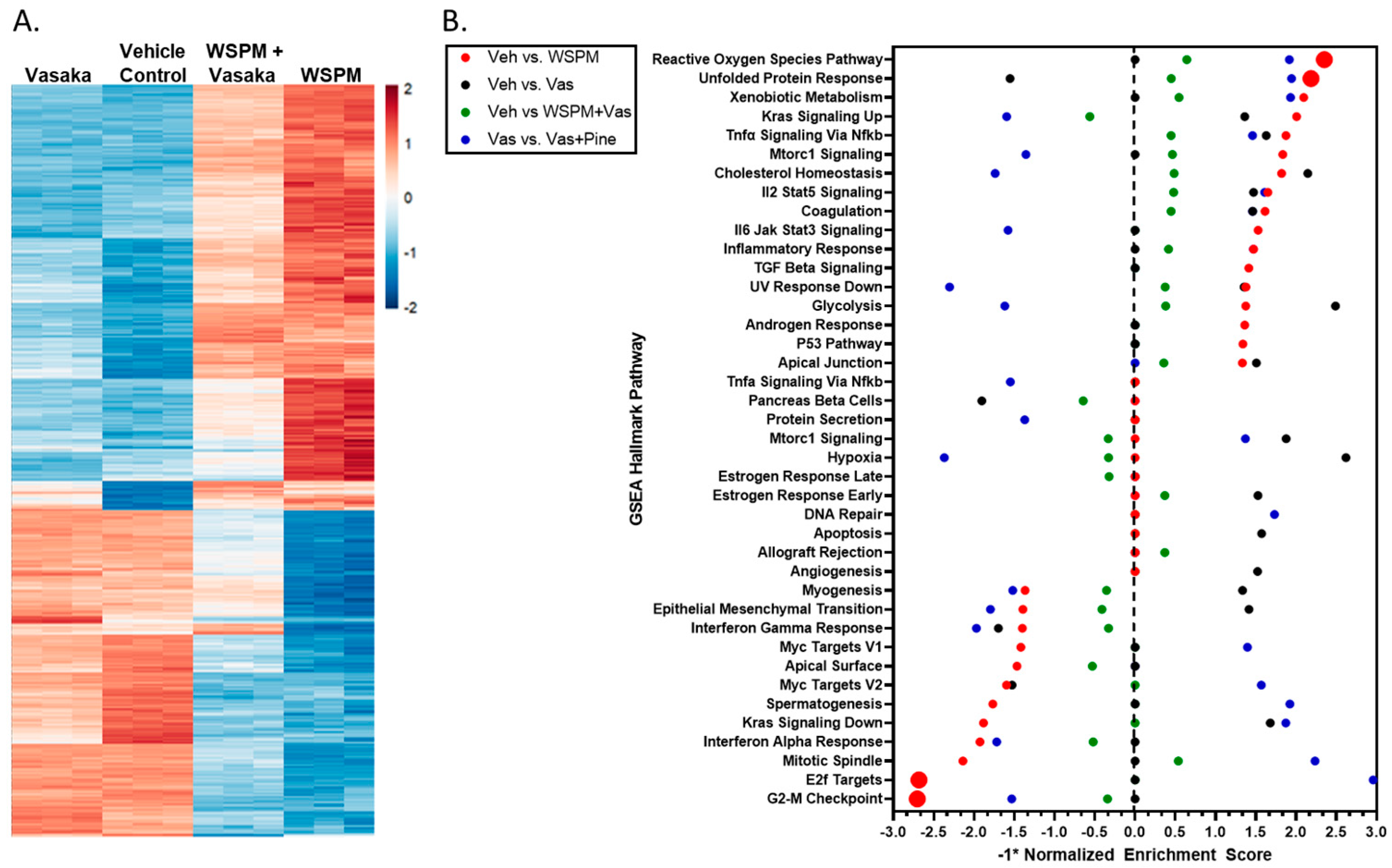 Pharmaceuticals 16 00890 g003 Pharmaceuticals 16 00890 g003