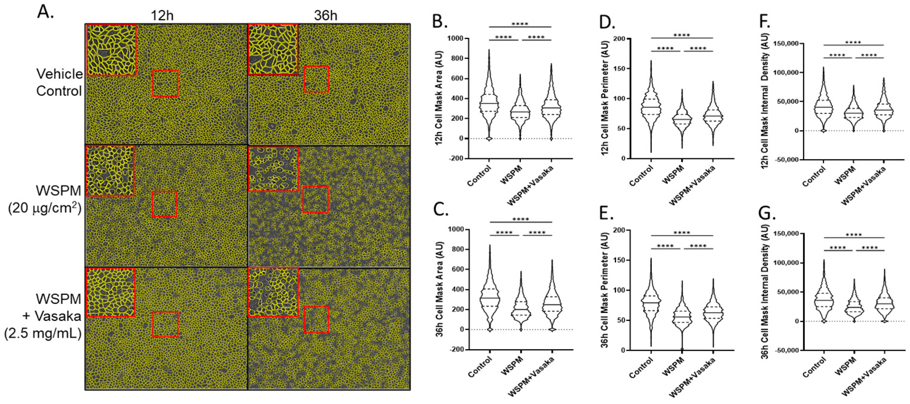 Pharmaceuticals 16 00890 g006 Pharmaceuticals 16 00890 g006