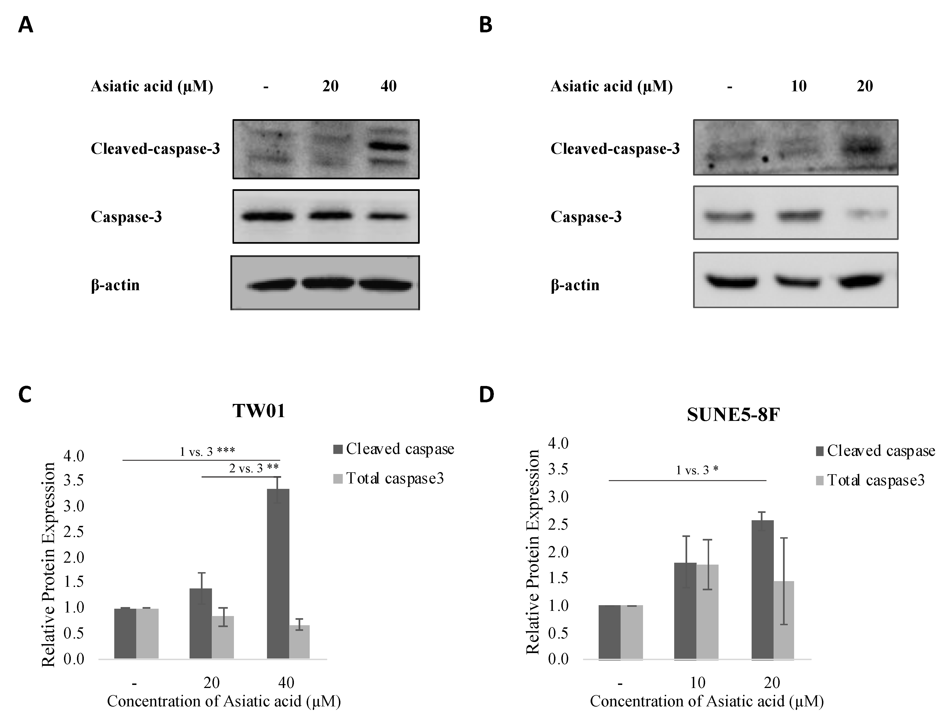 Pharmaceuticals 16 00902 g002