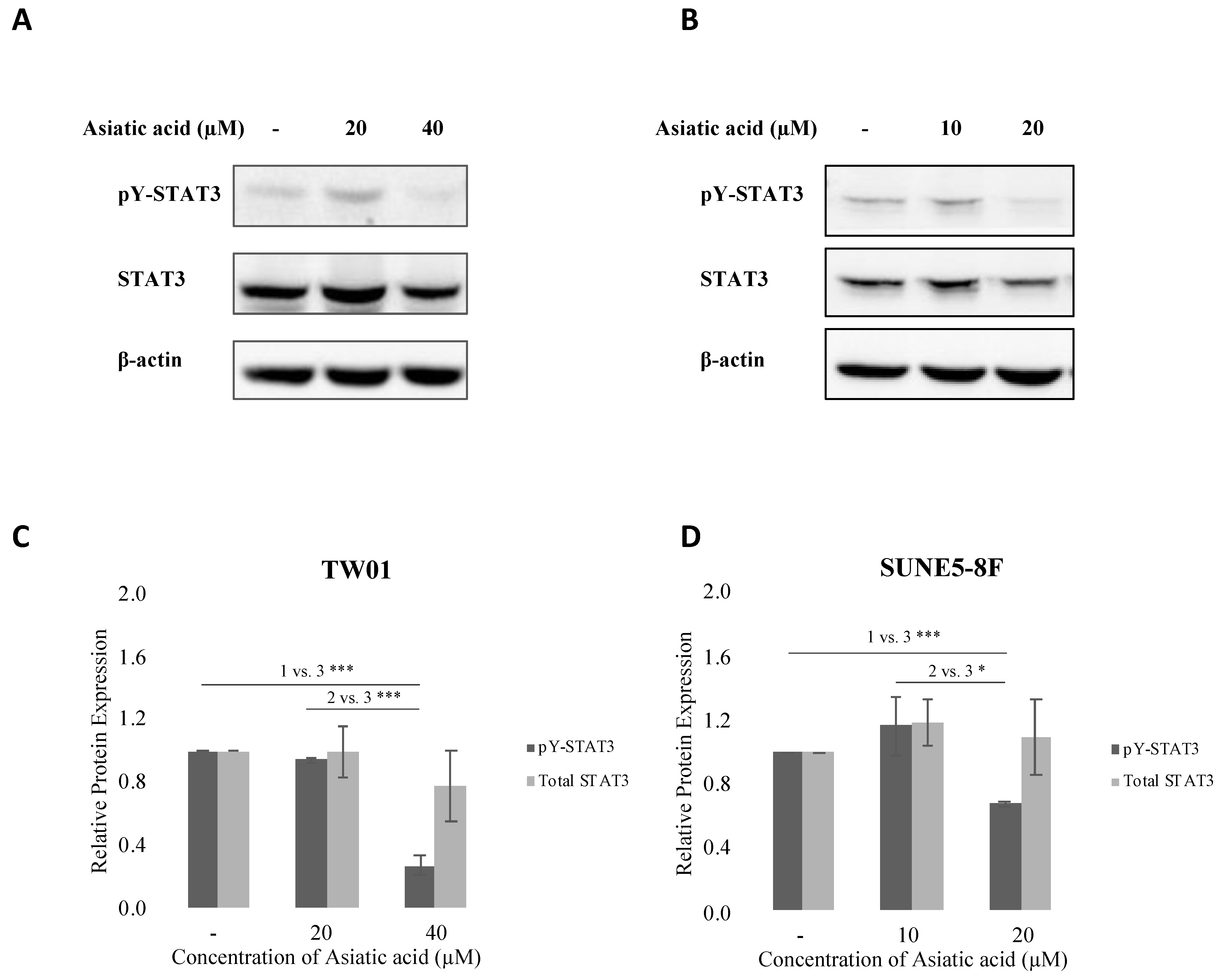 Pharmaceuticals 16 00902 g004