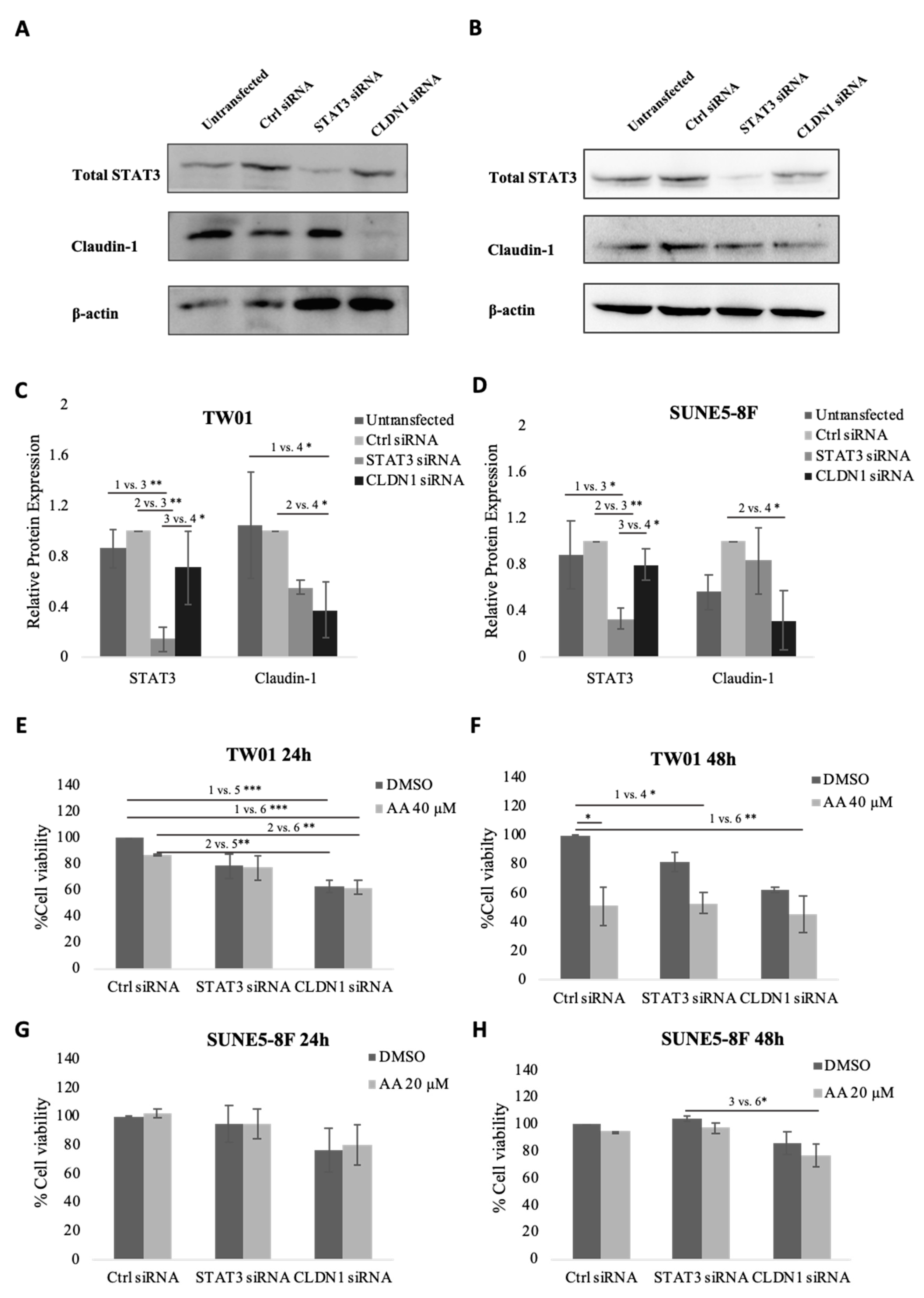 Pharmaceuticals 16 00902 g006