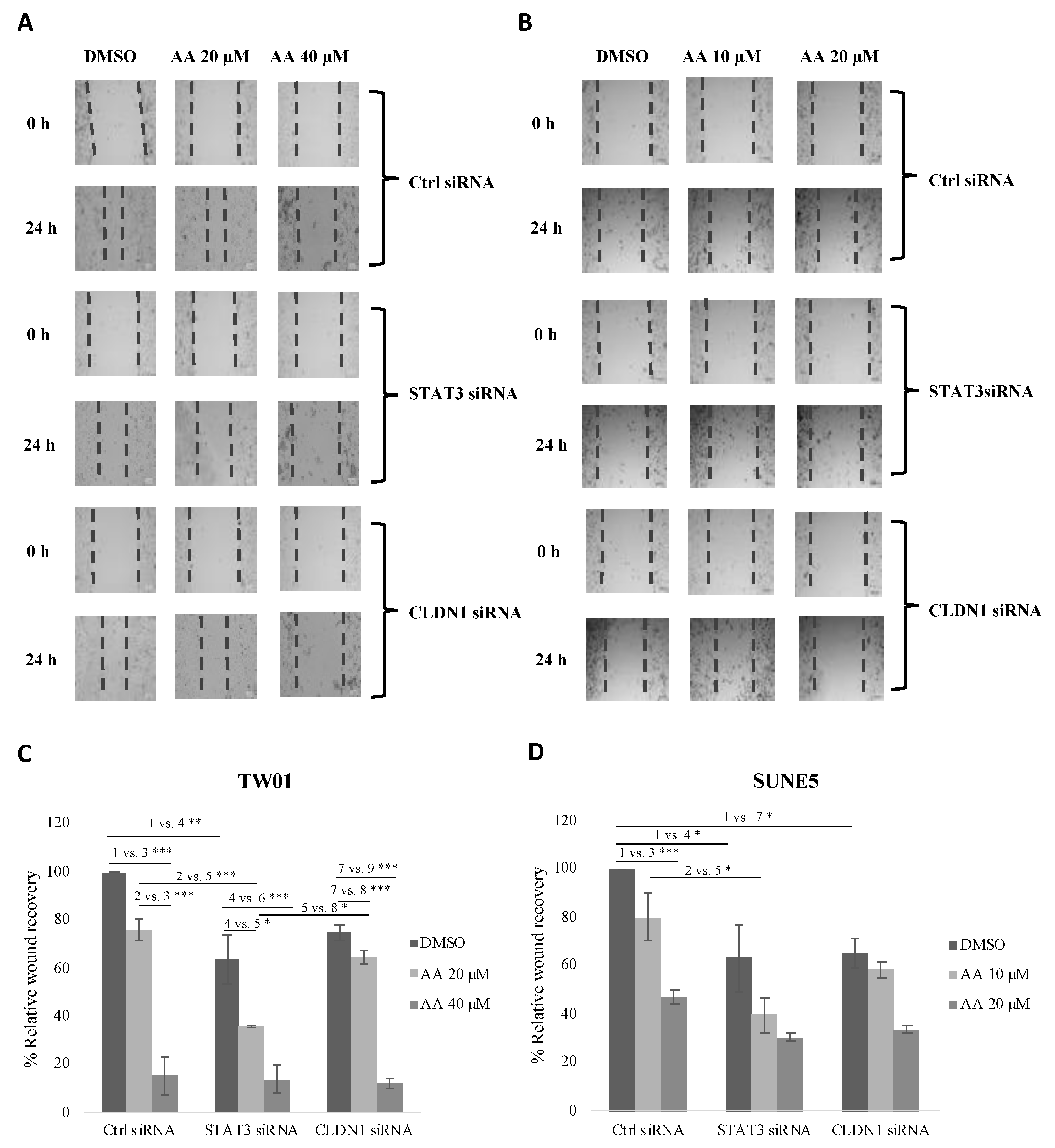 Pharmaceuticals 16 00902 g007